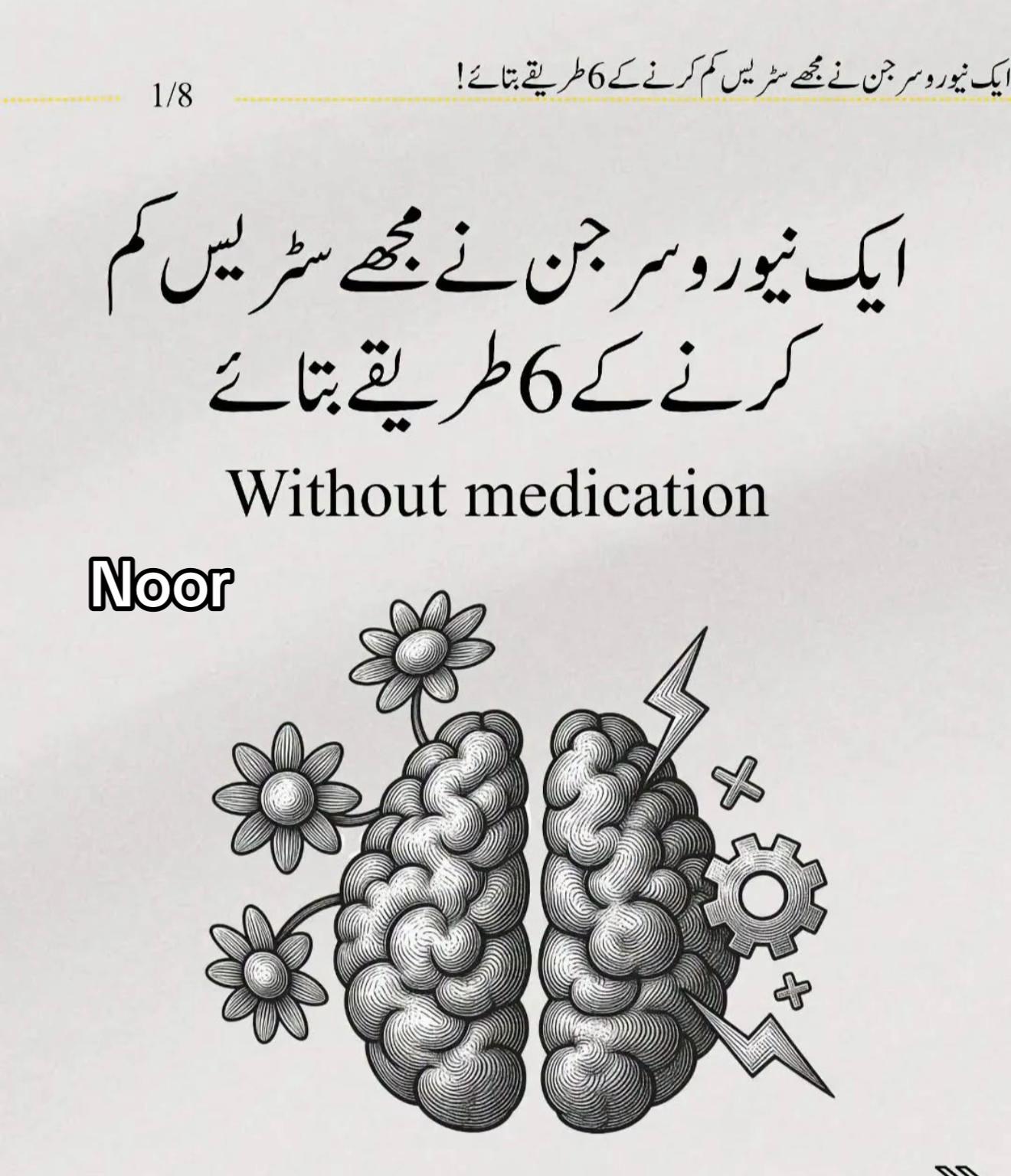 @noorfa15653297132