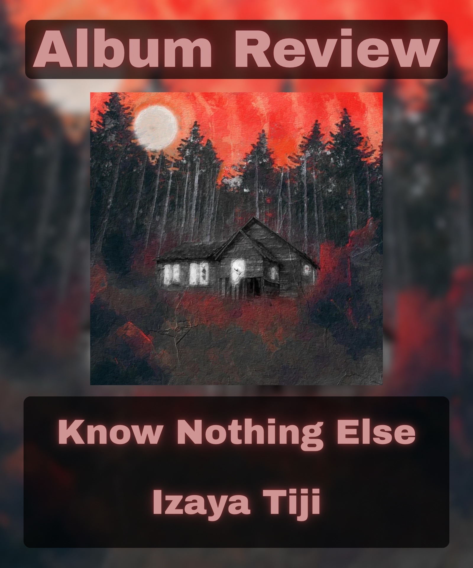 @gingermusicreviewer