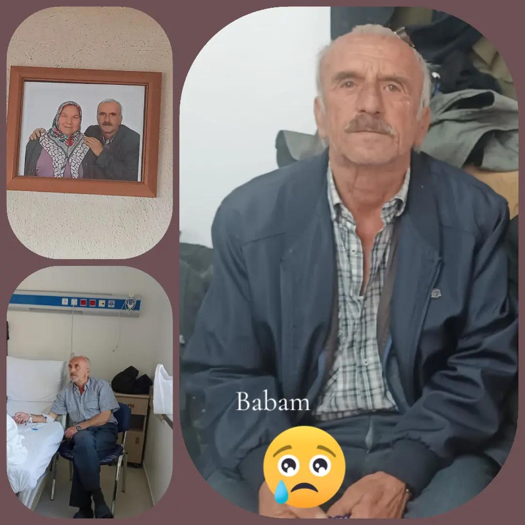 @arzu mehmet asci
