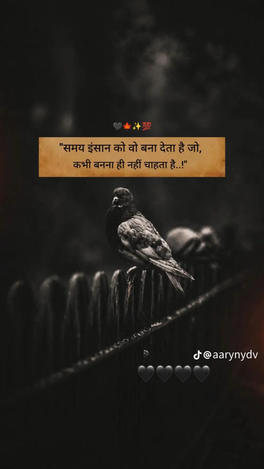 @Sapna Yadav
