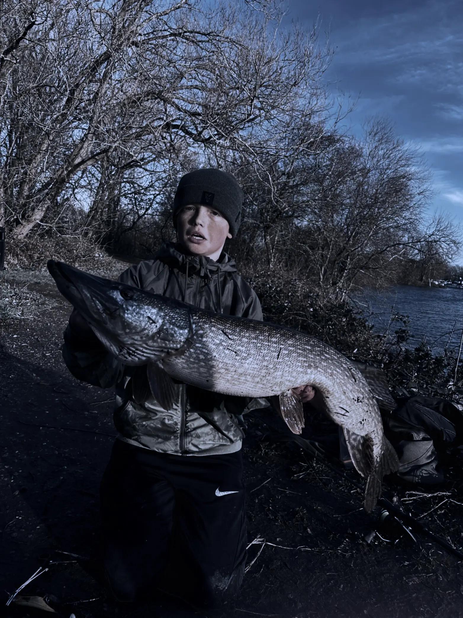 @Carpy Brez