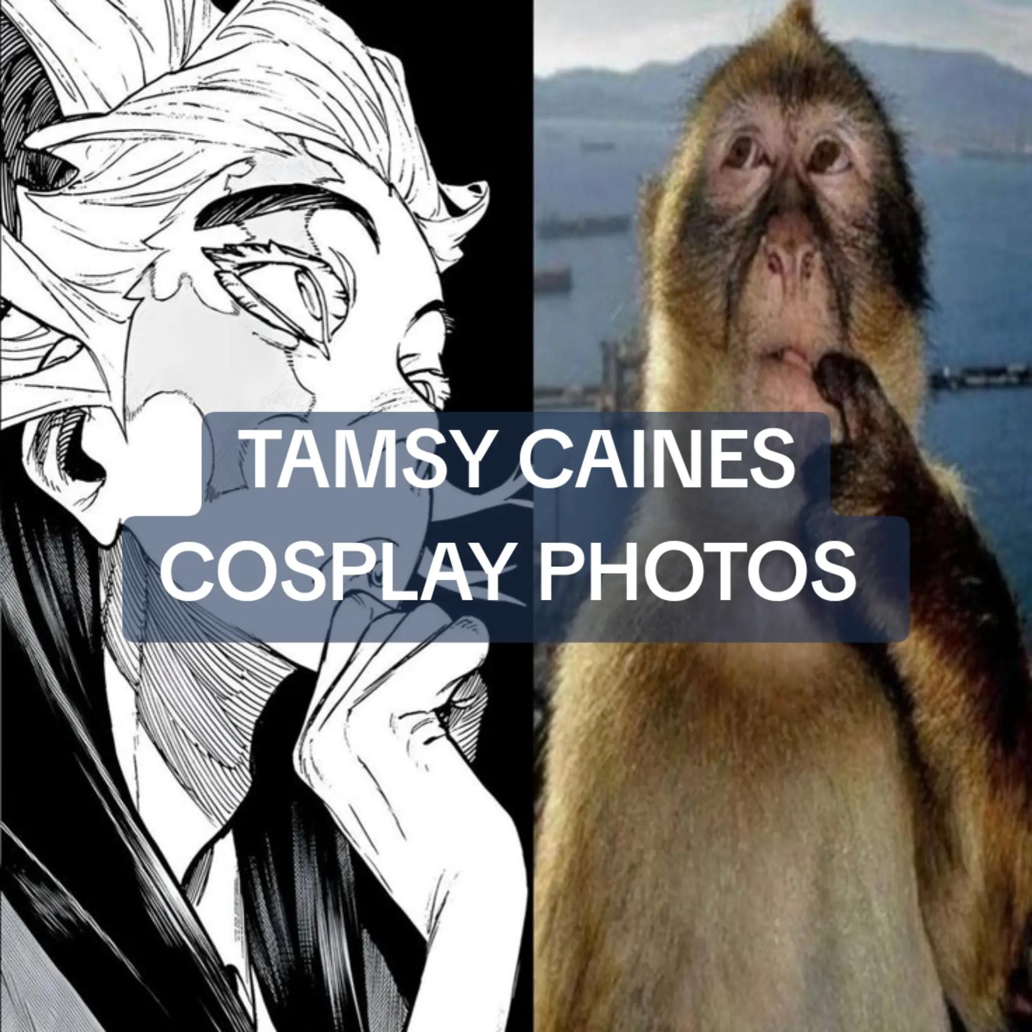 @Archers Cosplays