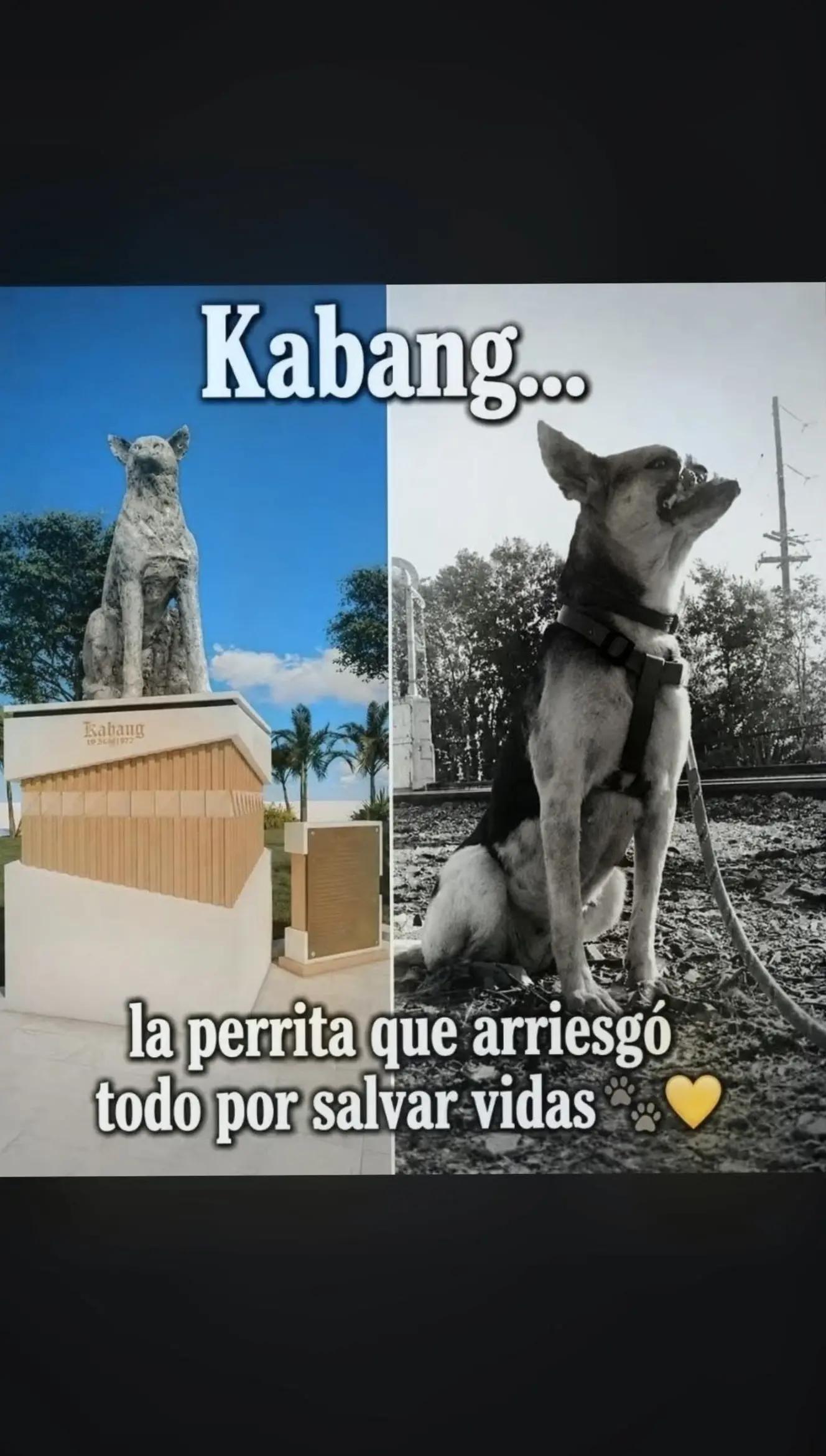 @Rómulo cuellar
