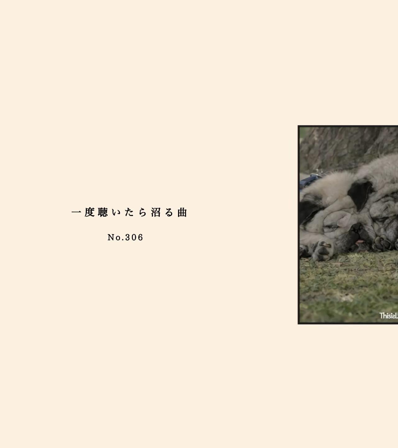 @黒猫🐈⬛🎶曲紹介