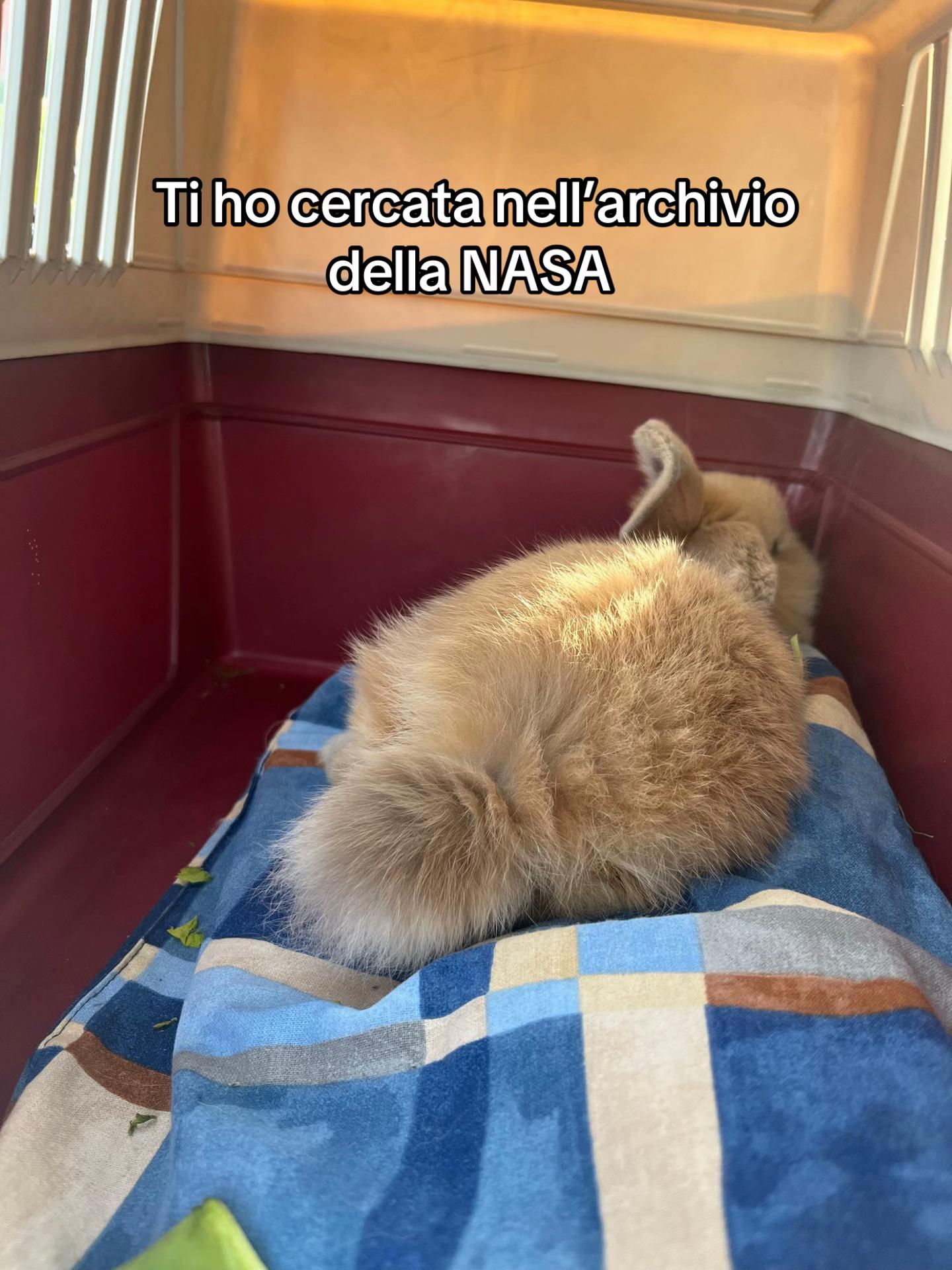 @MartinaRabbia