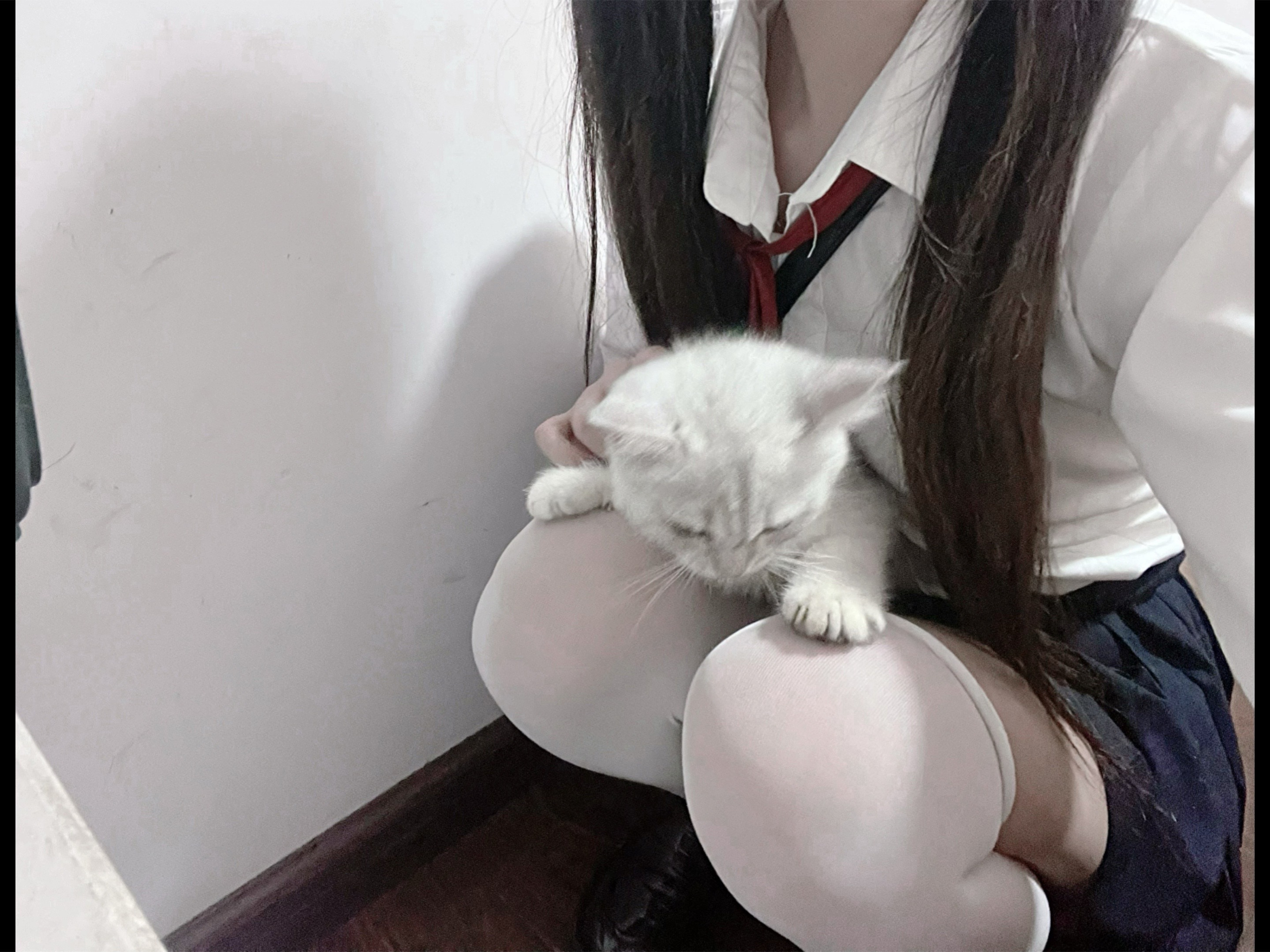 @Atsuki 🦊