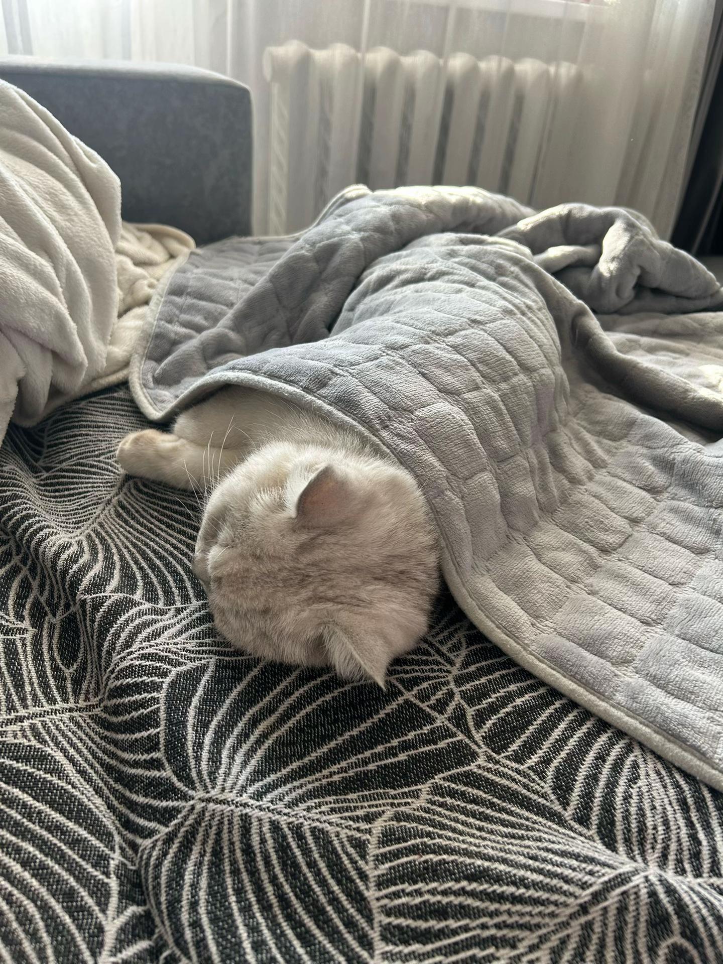 @💤
