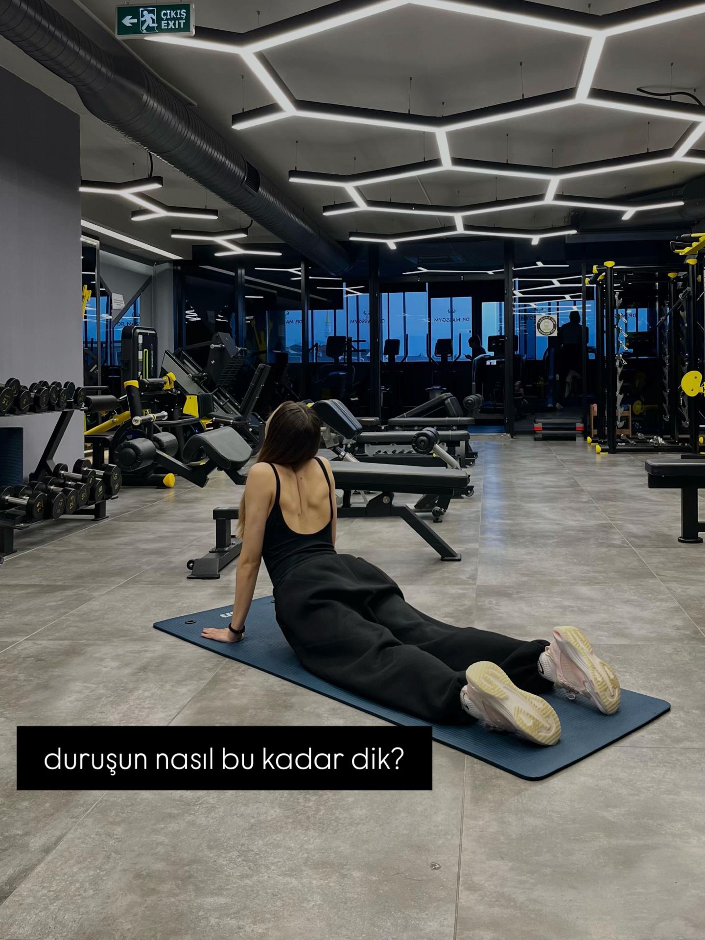 @melekarslanp