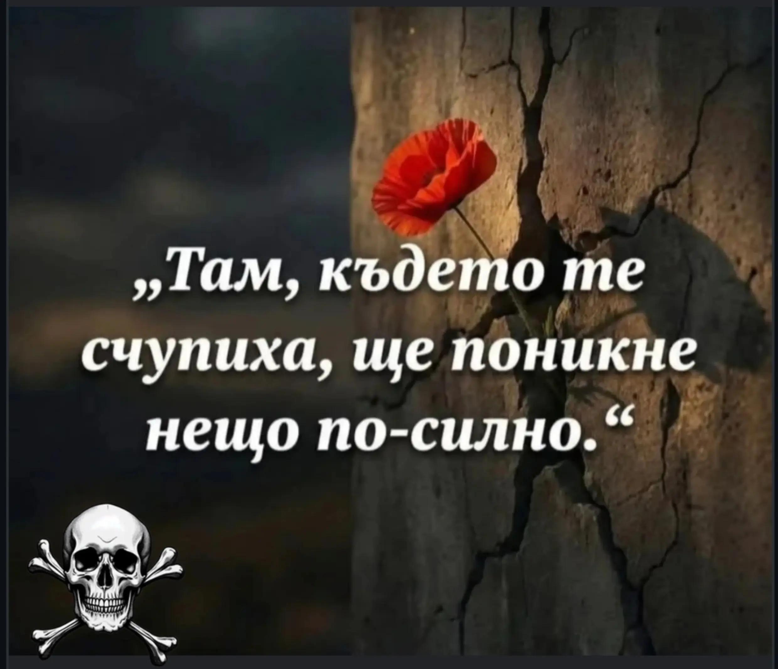 @🇧🇬Бясното Куче🇧🇬