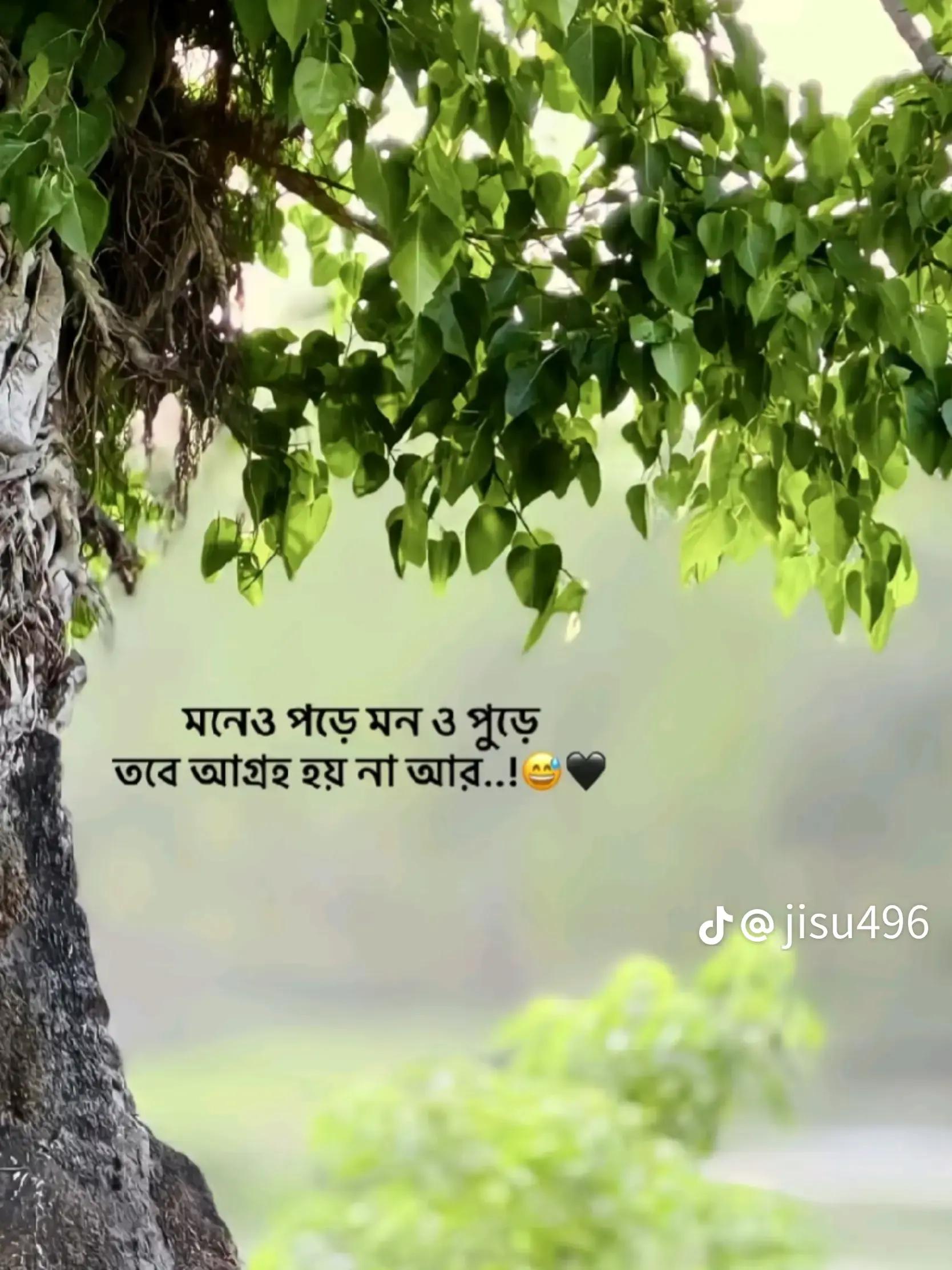 @ZAHIDUL HASAN🇧🇩❤️🇸🇦