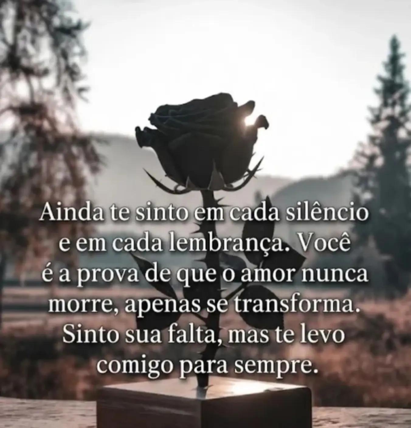 @Ivonete coll de Liz .#sdd✨ m&atilde;e