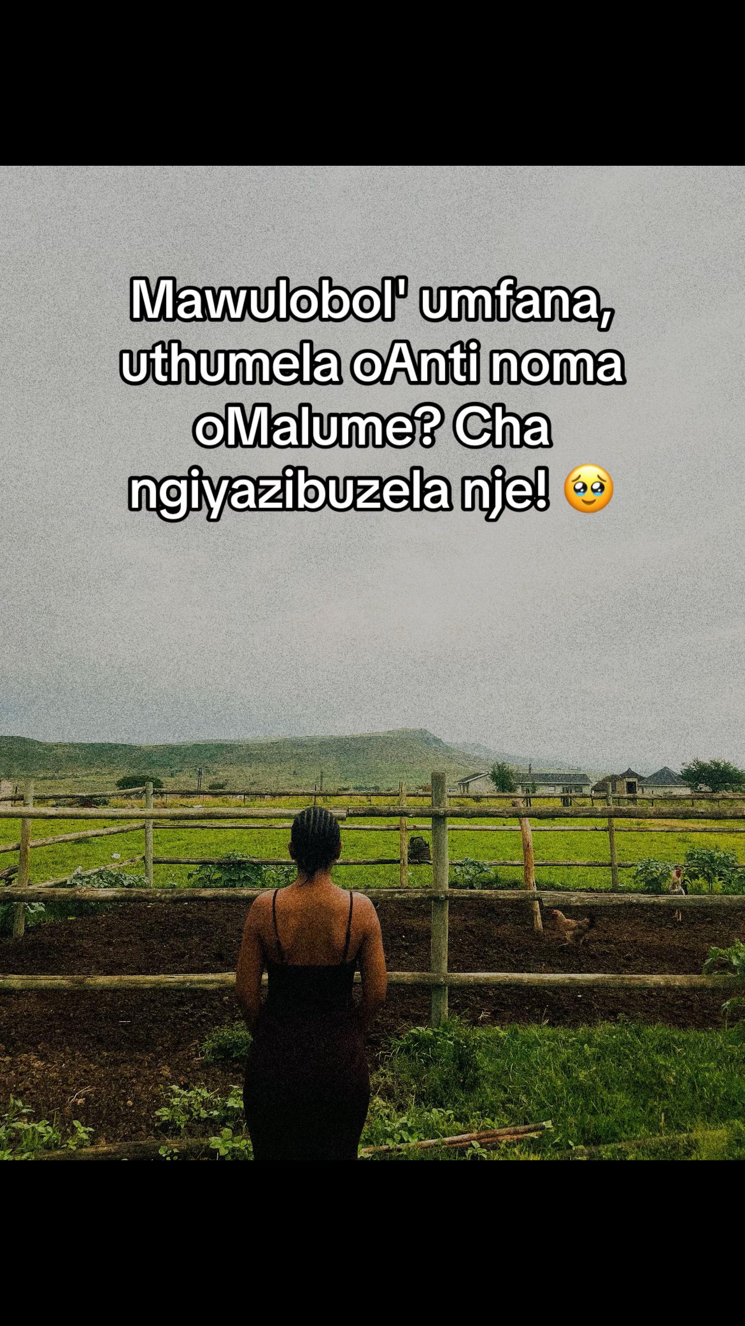 @kayzeeMazibuko🐃