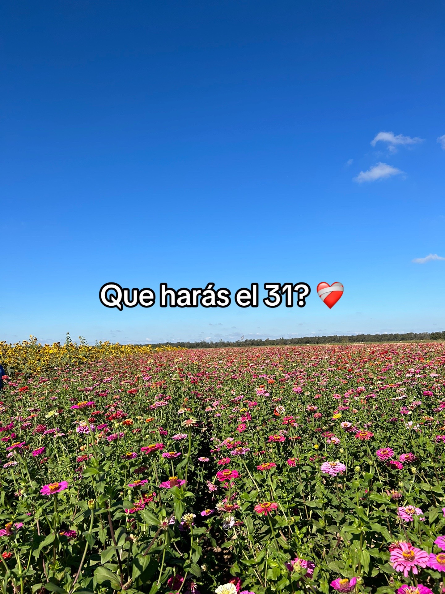 @Yeselin Cervantes
