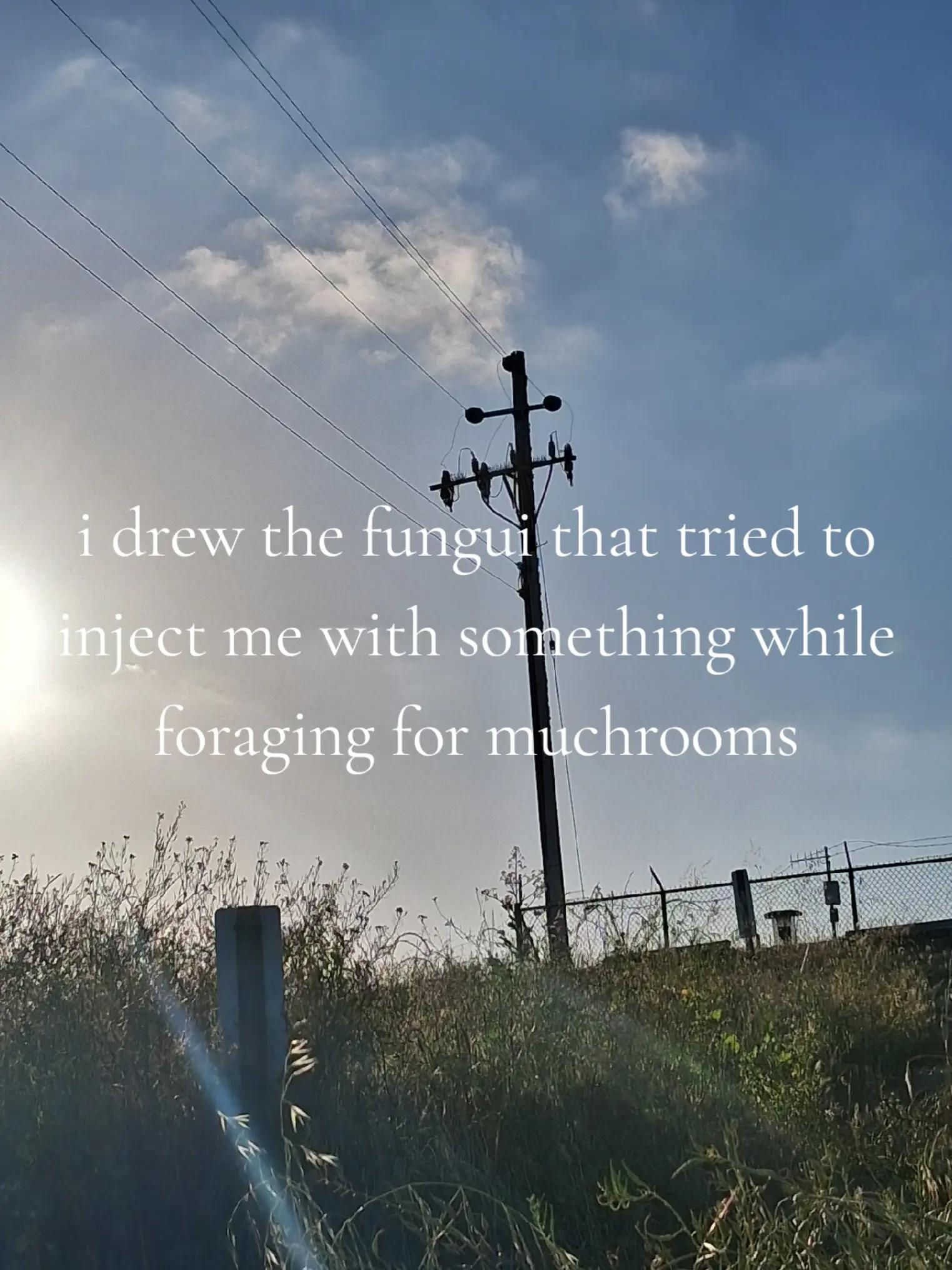 @[SCHIZOPHRENIC-TELEVISION]