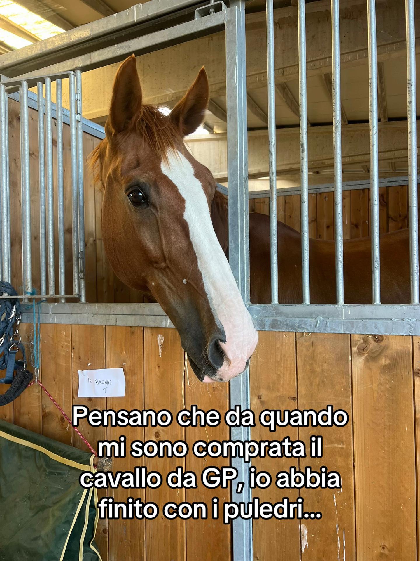 @azzurra_anedda_