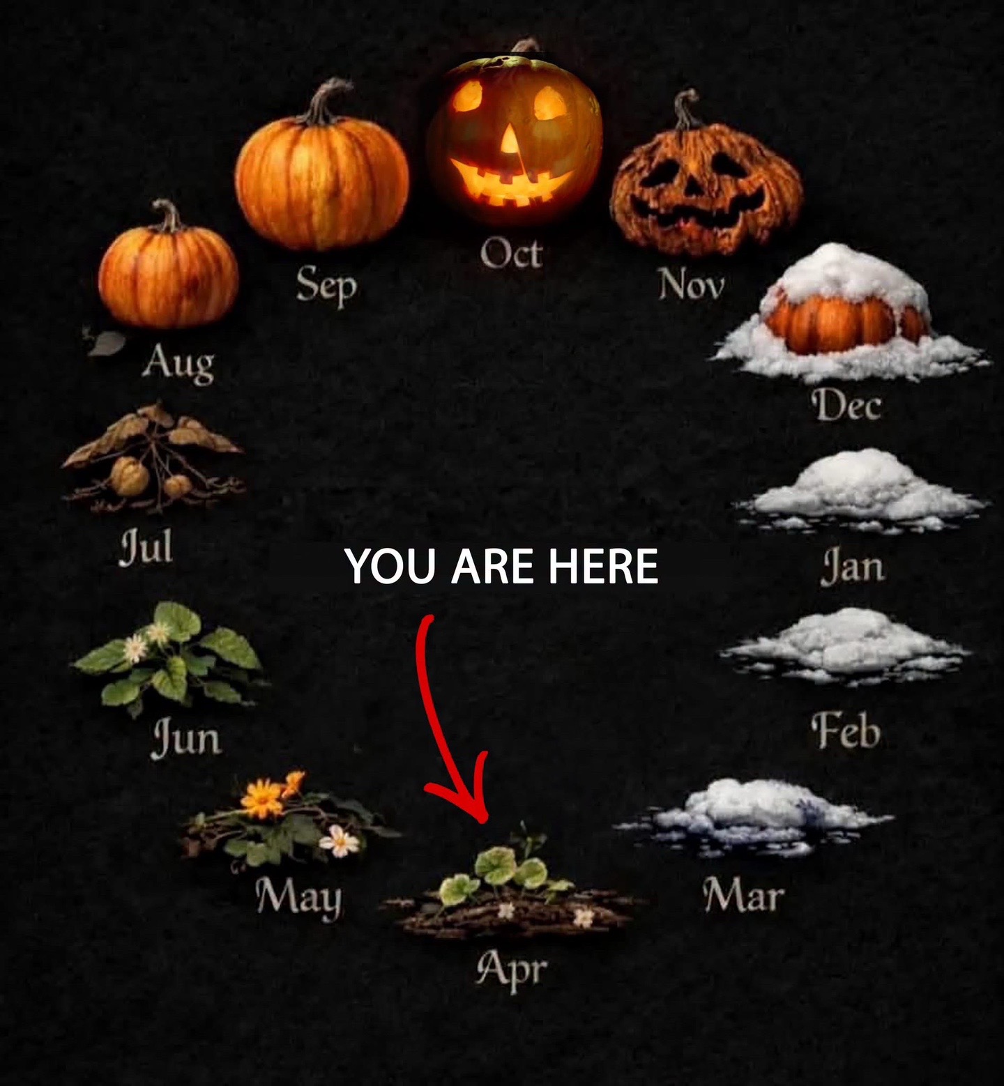 @Halloween Fans