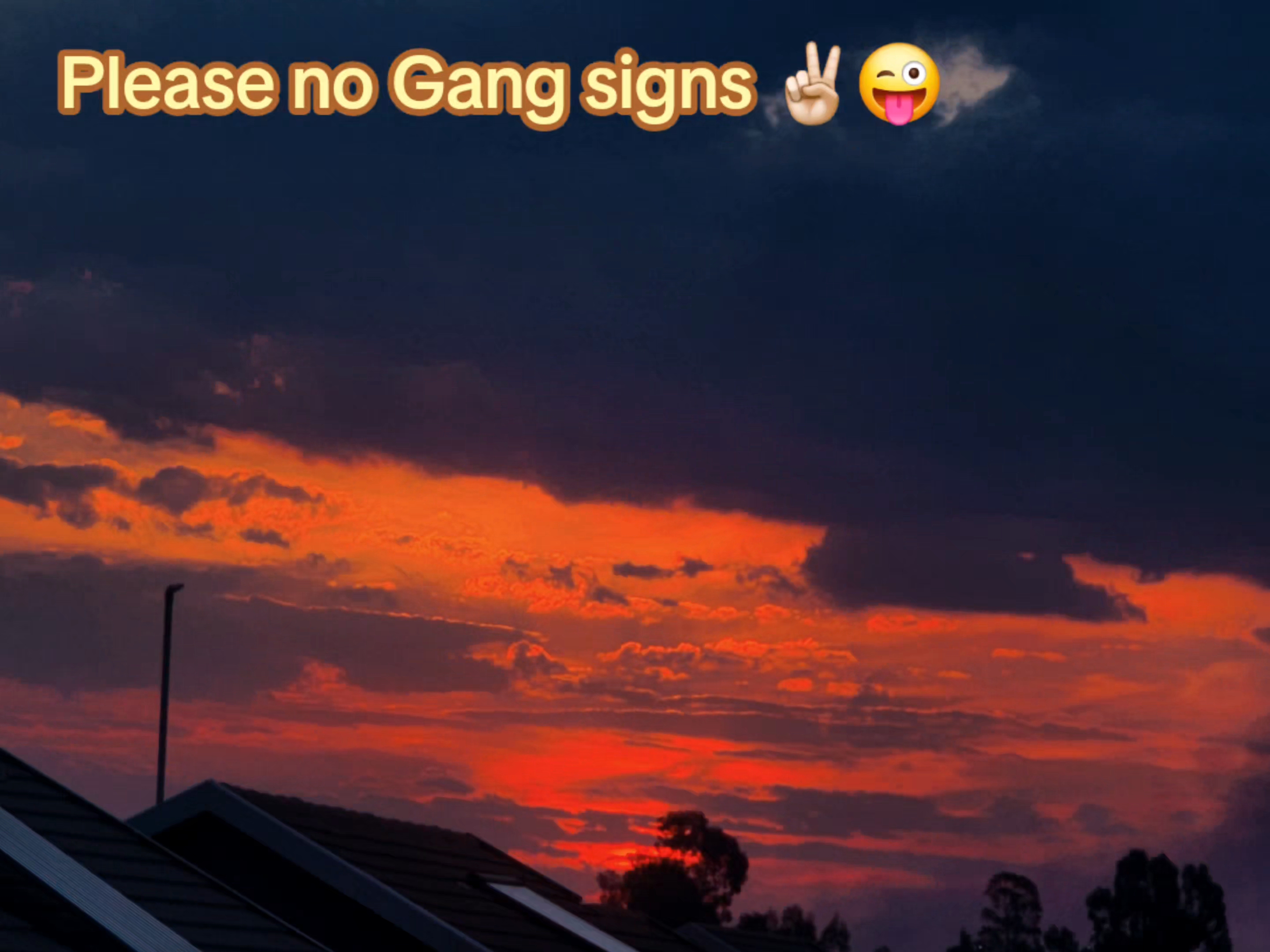 @XO_Janiké๐๐๐ป