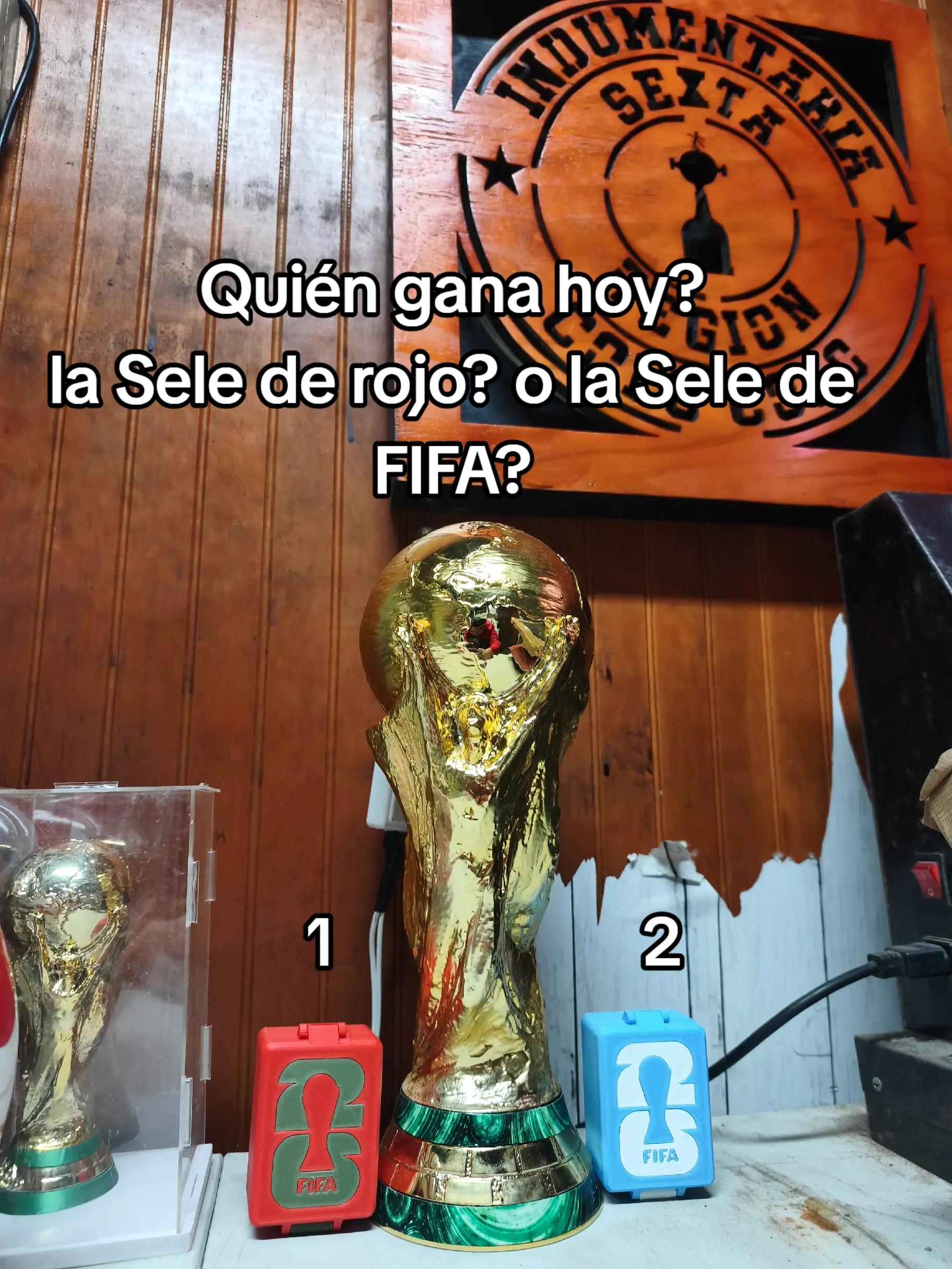 @indumentaria_colocolo_6