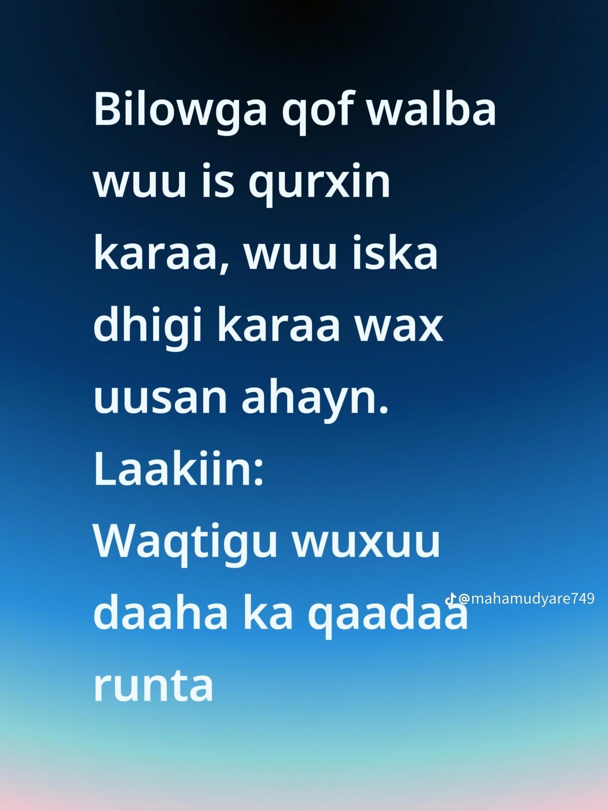 @amran aden