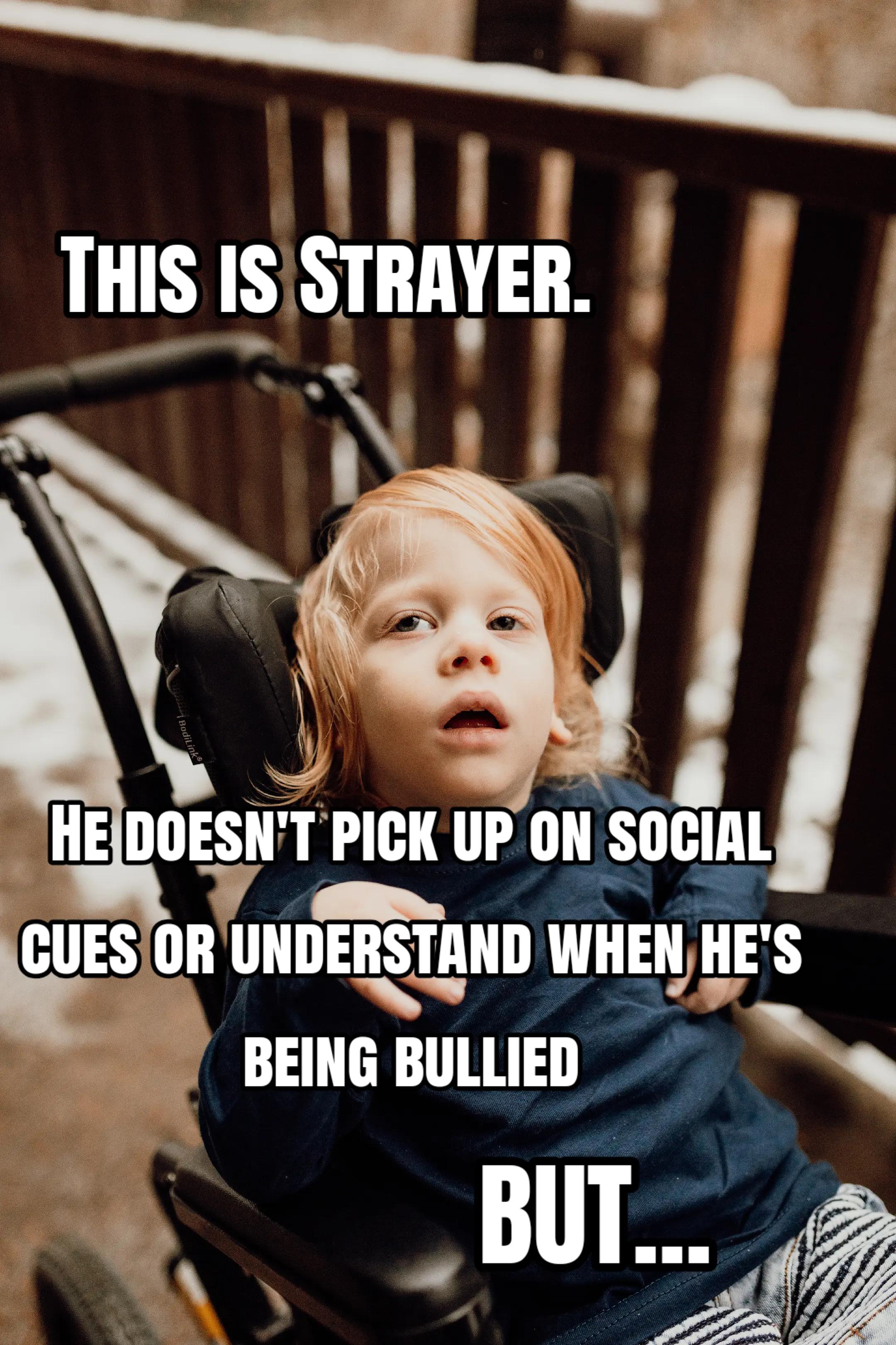 @StrayerStrong & His Mama