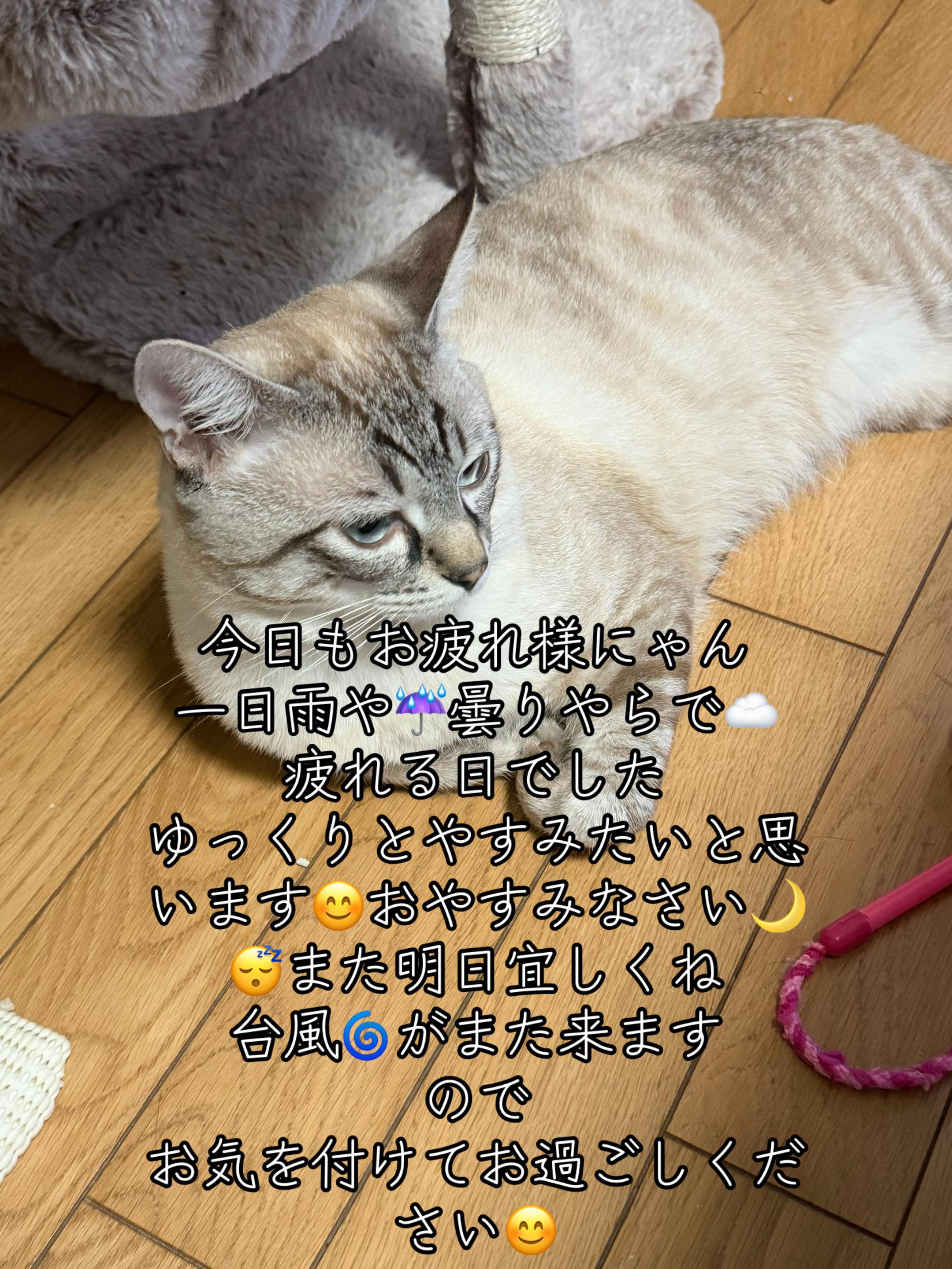 @🥀黒澤正志🥀