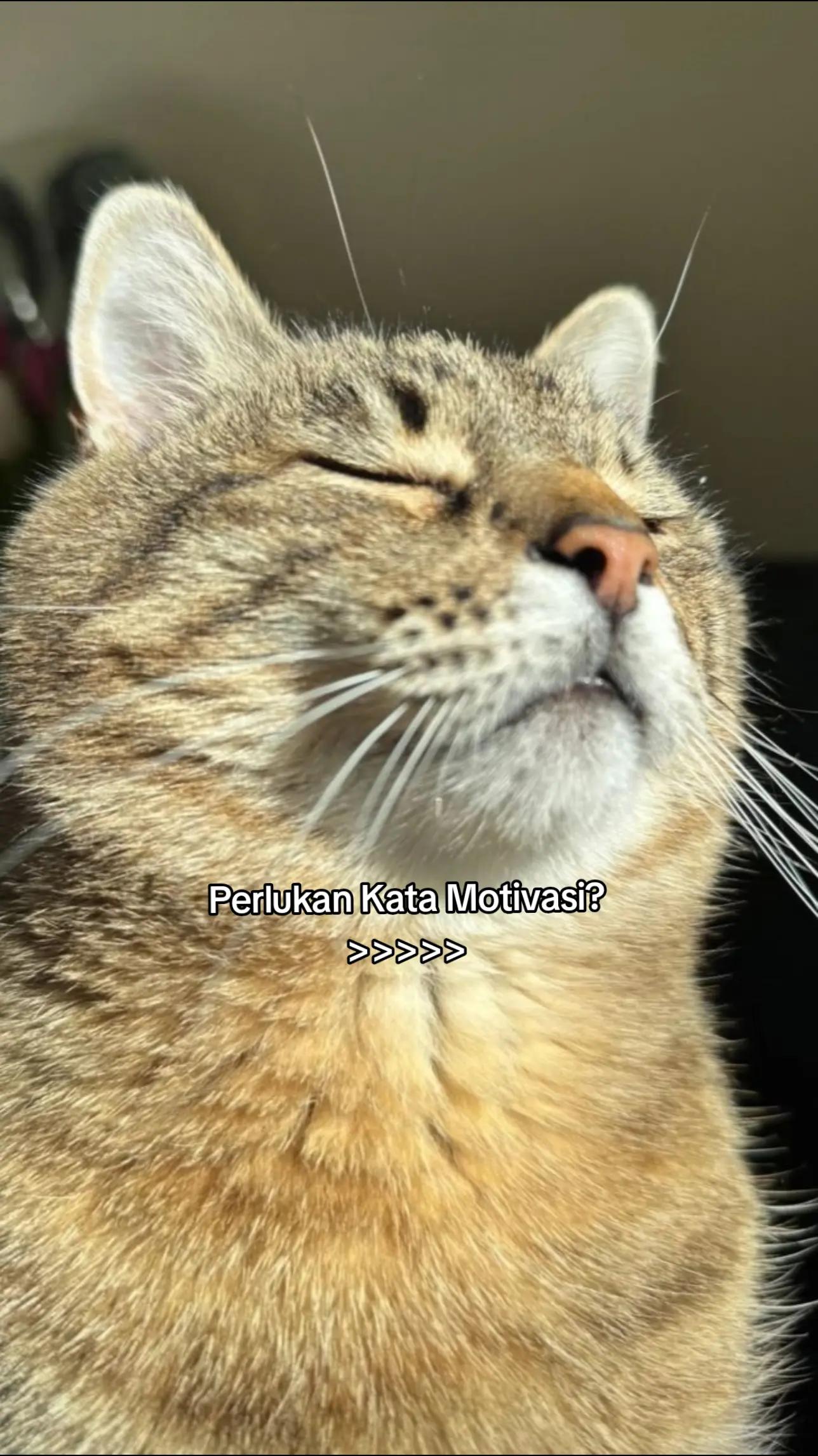 @M A N