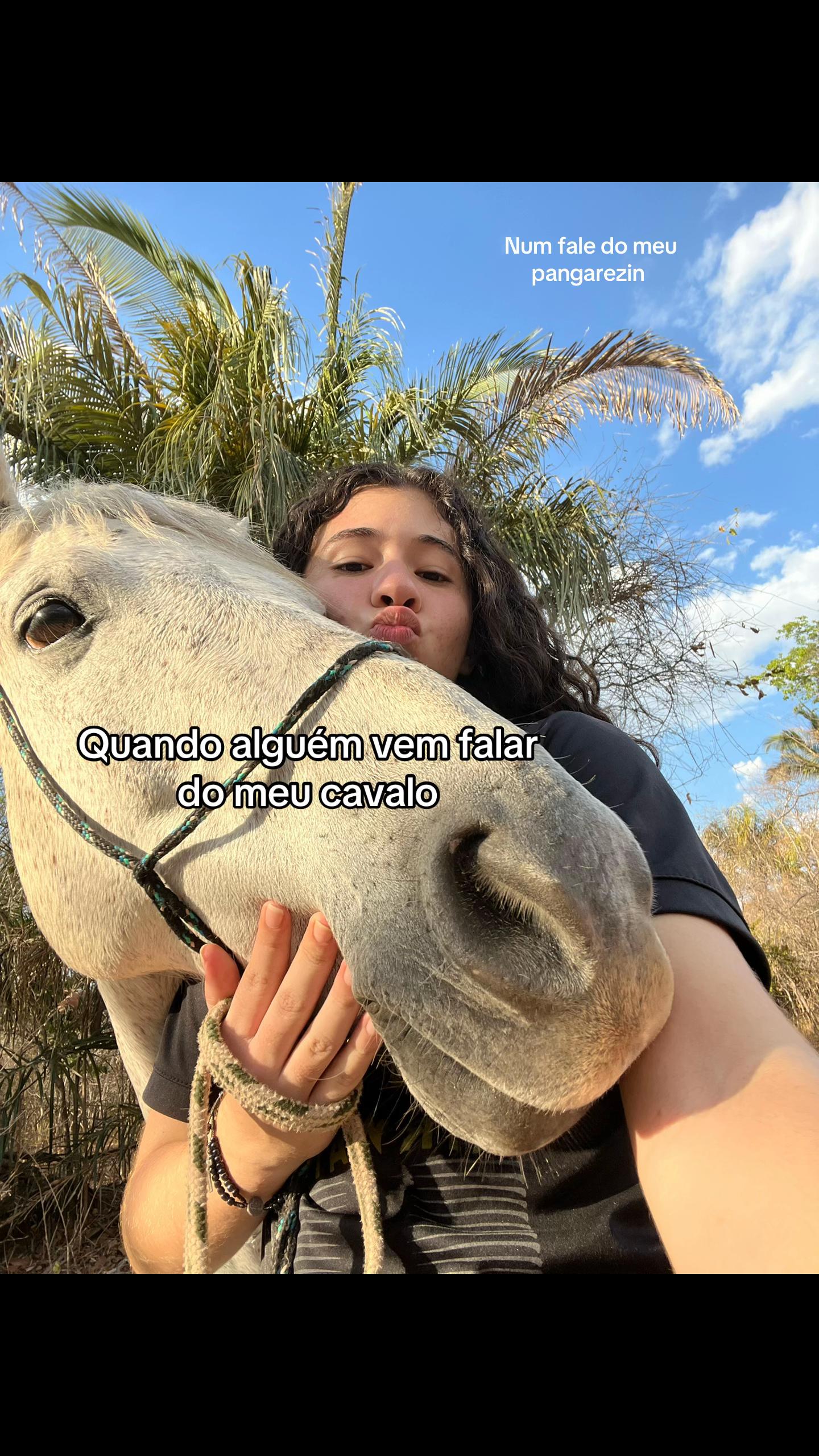 @laisafelix_