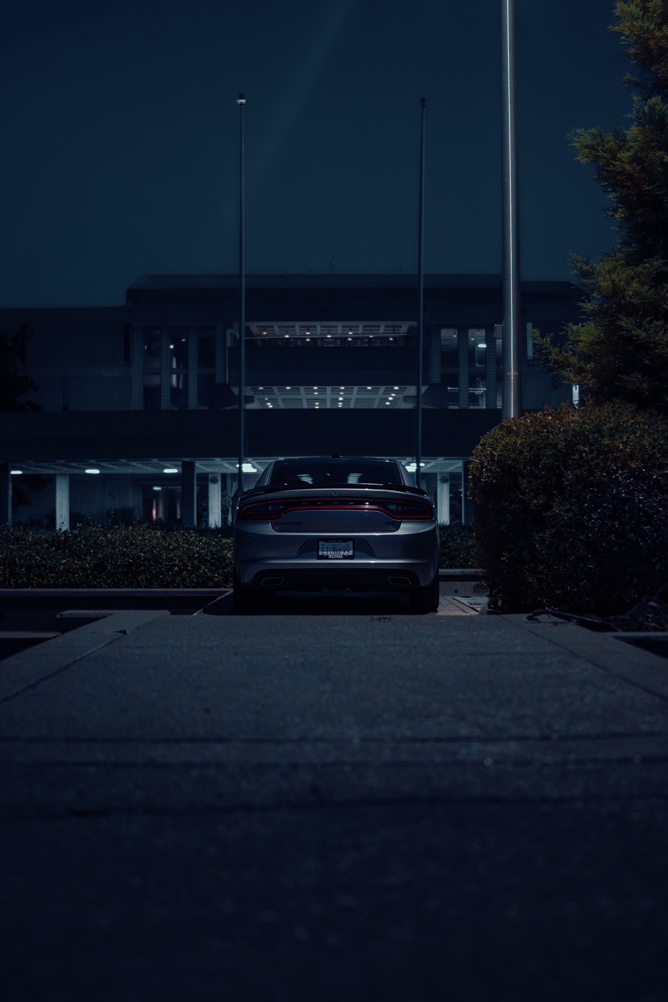 @HailsRt 🩶