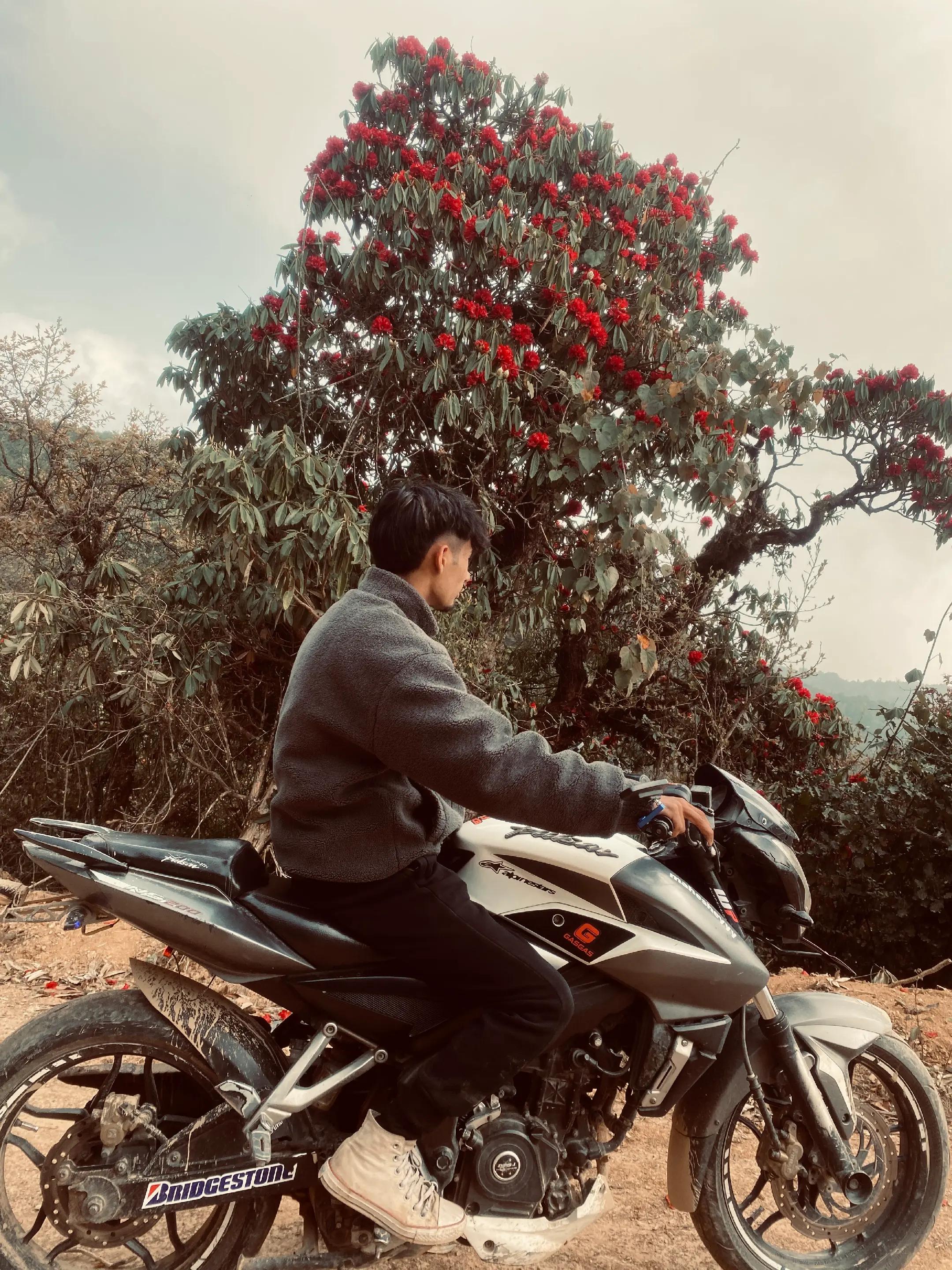 @mahesheyyy🤍