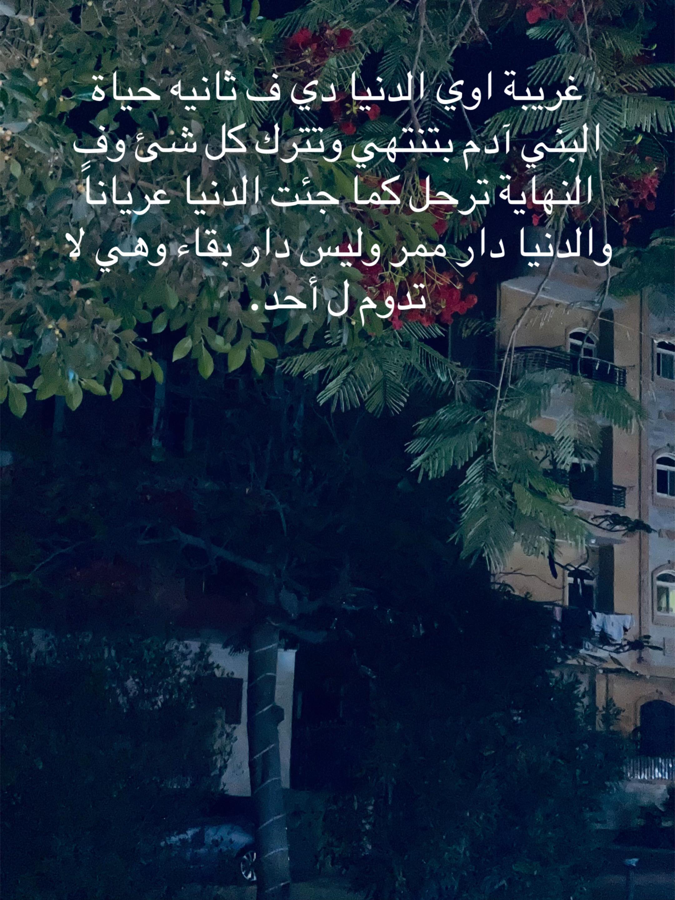 @Ramadan Sobhi-10