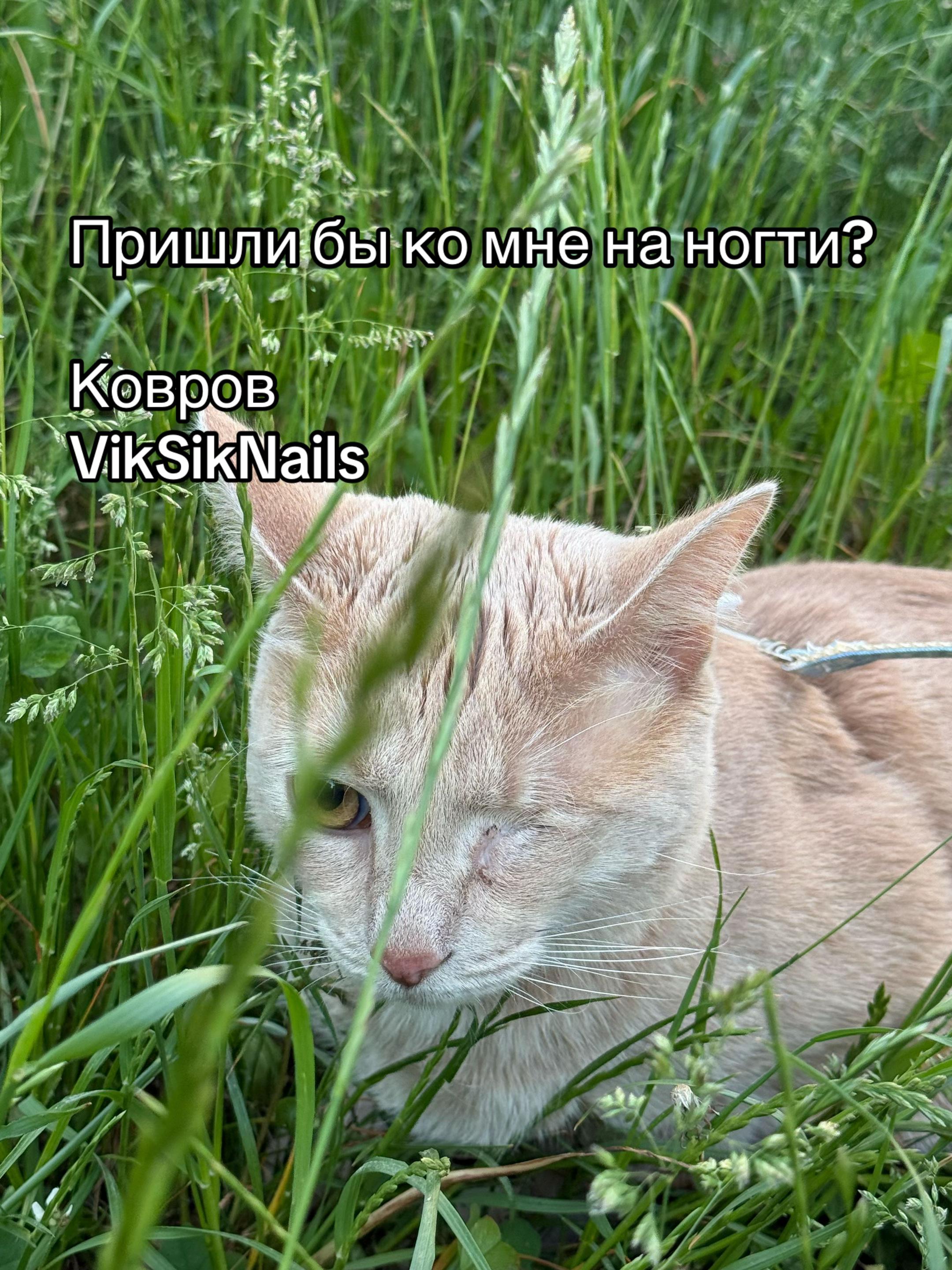 @📍КОВРОВ|ВИКТОРИЯ МАНИКЮР