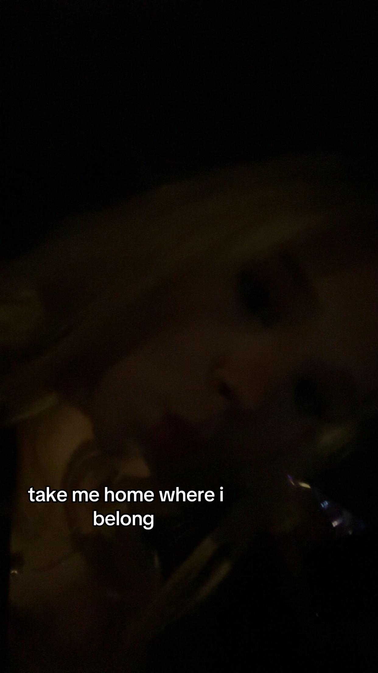 @𝒜𝓃𝓉♫♪✌︎