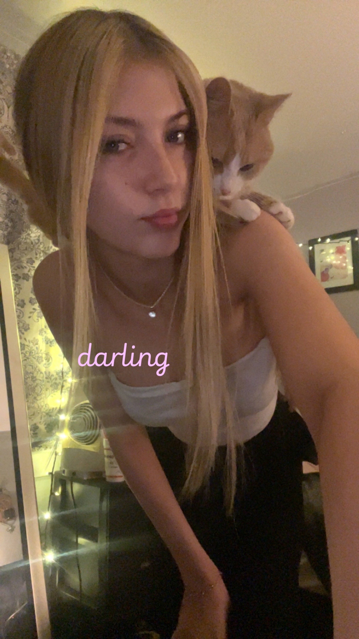 @vlxne_amber
