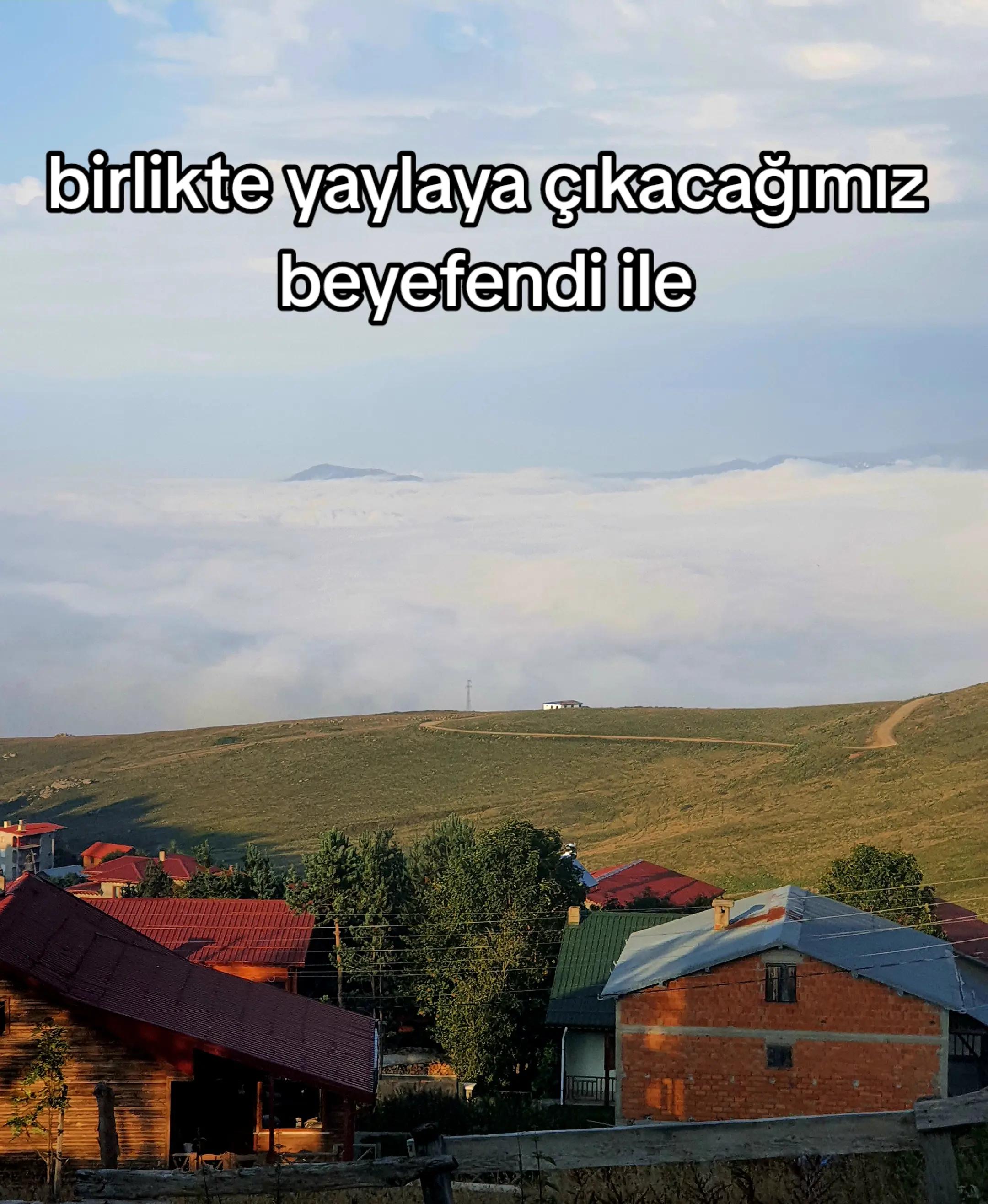 @~beroli~