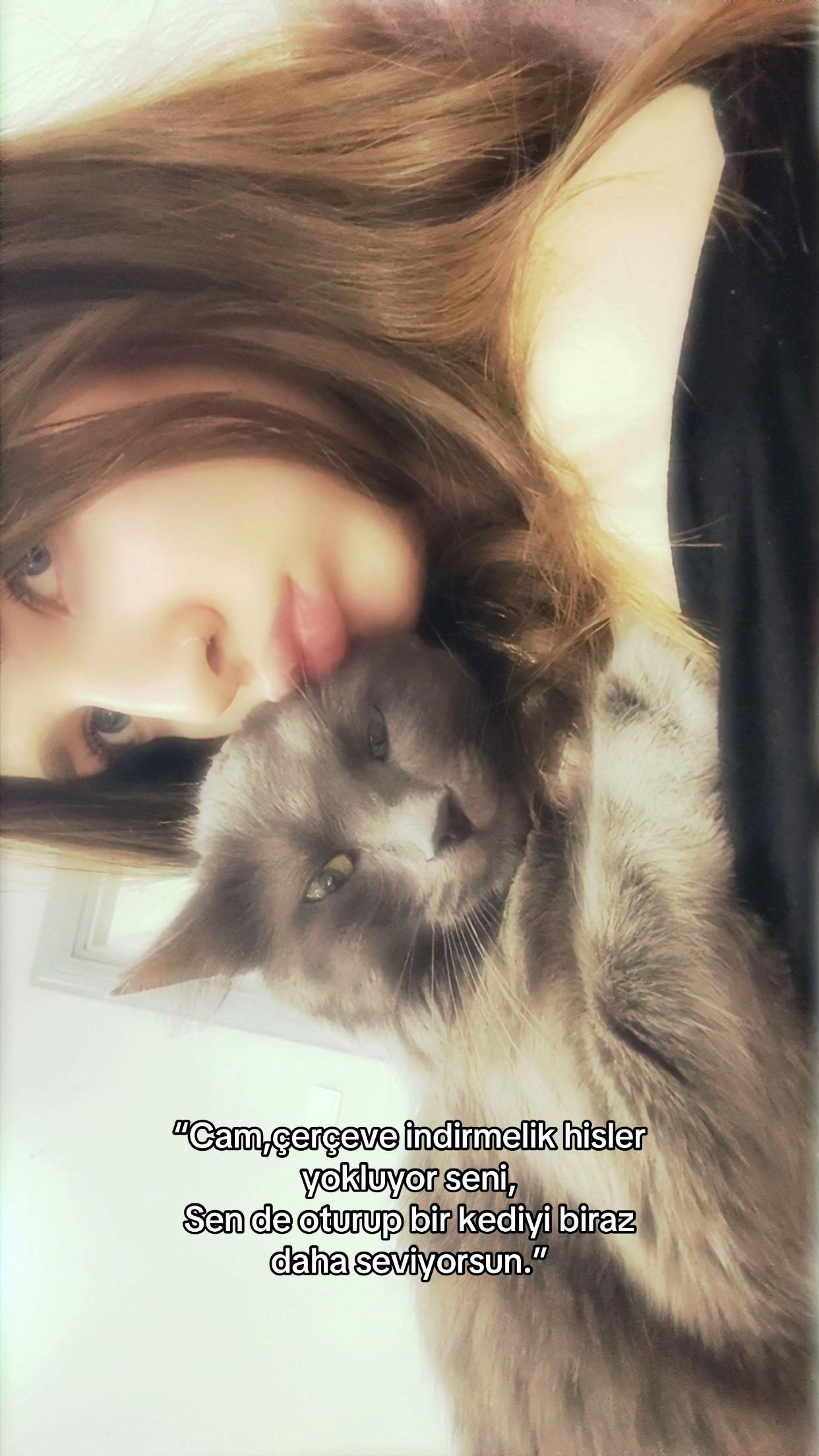 @eylemozsarac