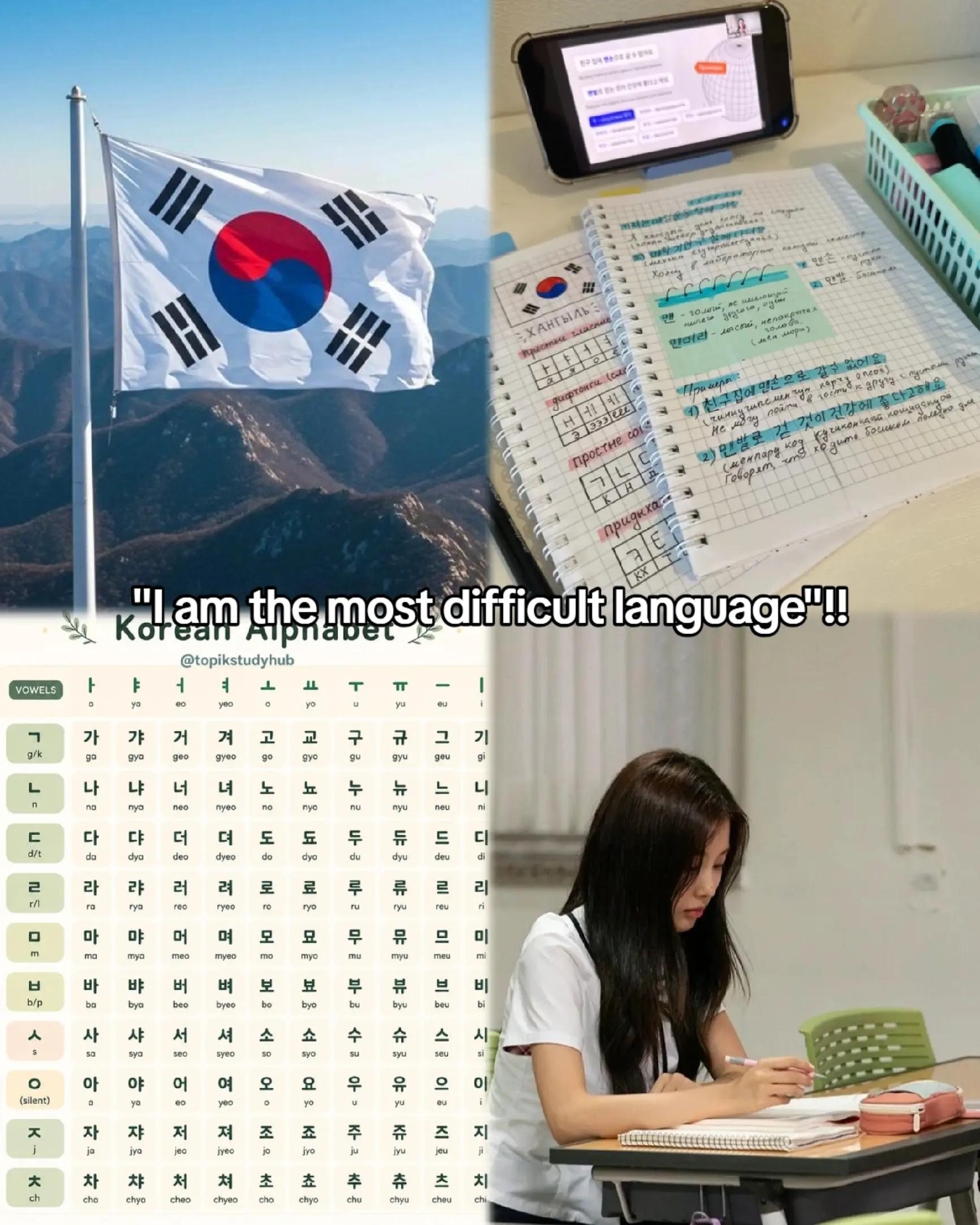 @✨한국