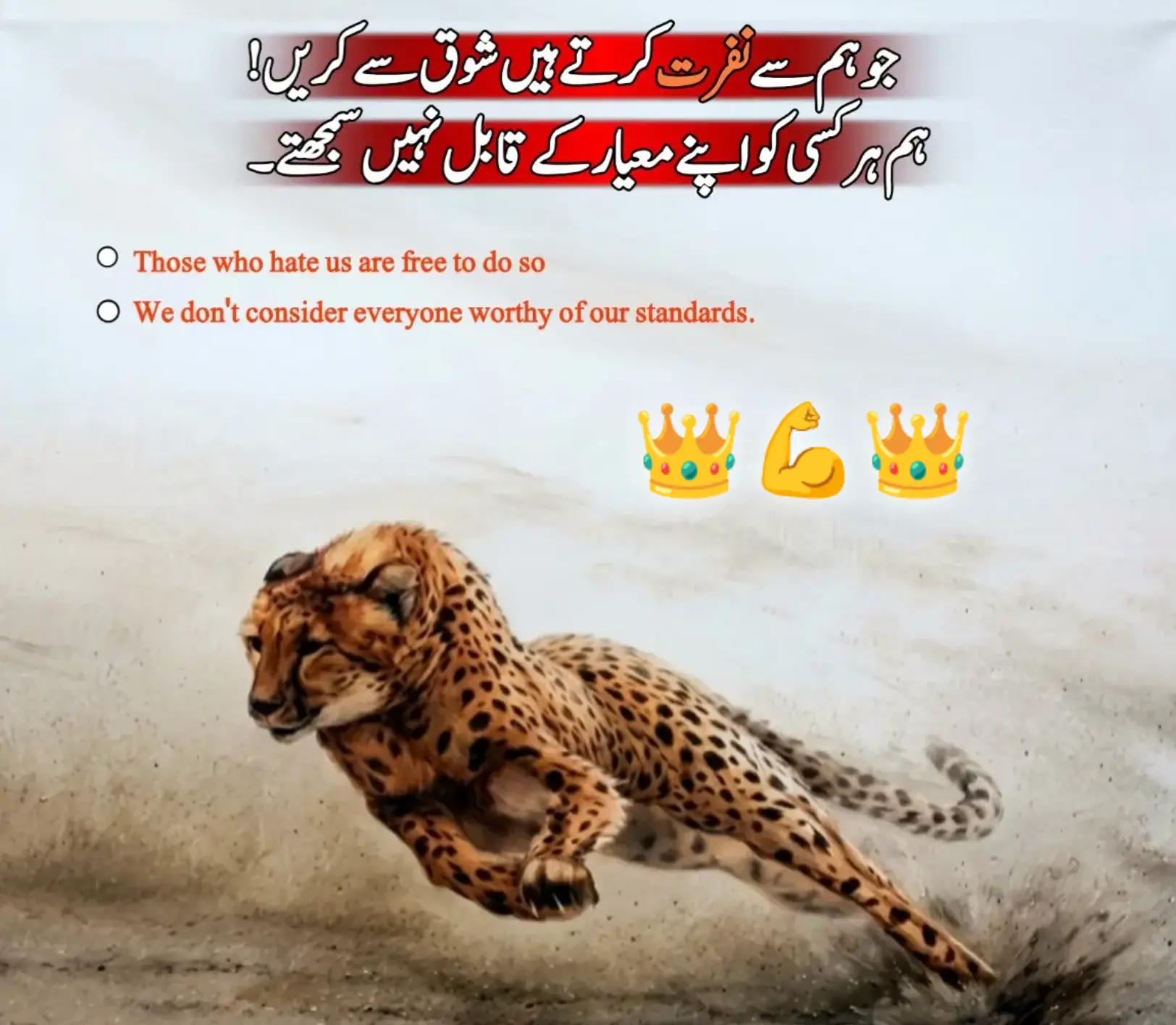 @🖤👍👑(زین)👑 (بادشاہ )👑👍🖤