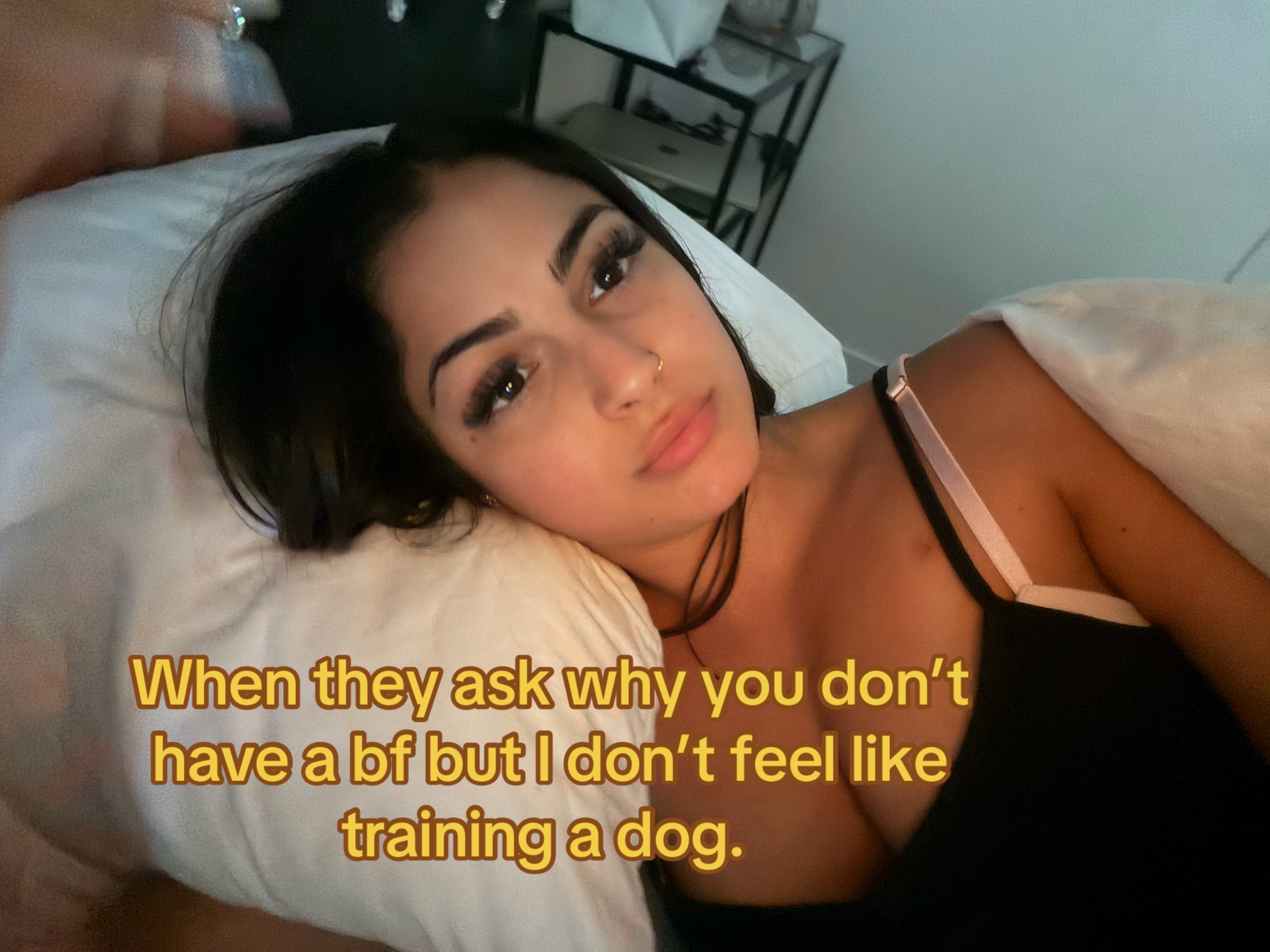 @shitdiculous