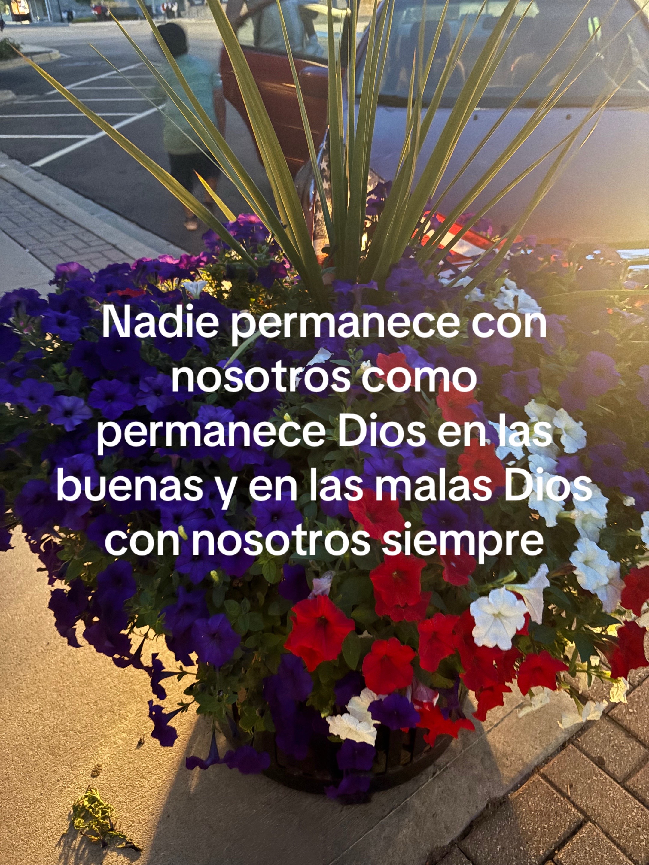 @Araceli vences