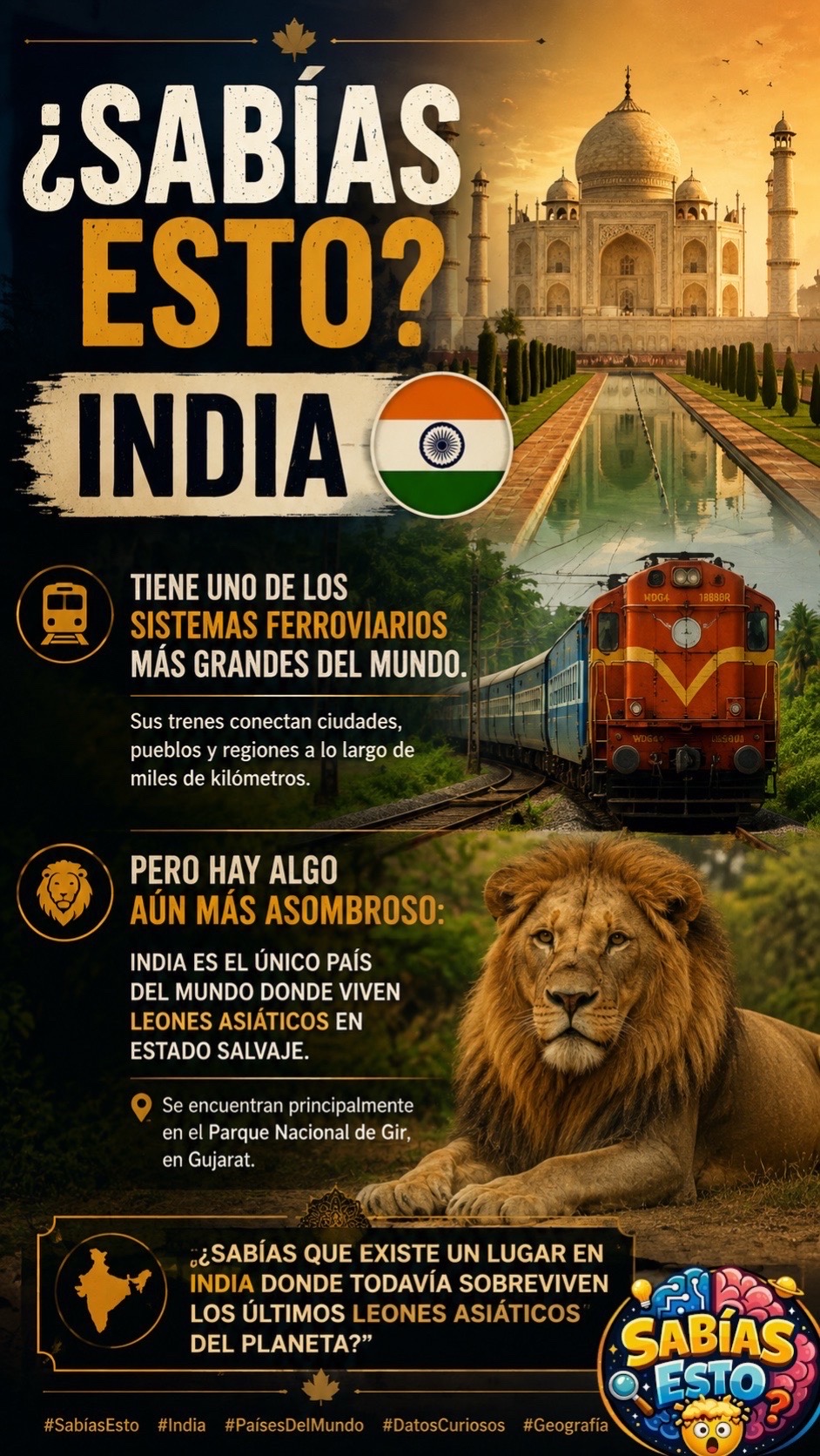 @Sab&iacute;as Esto 🔍