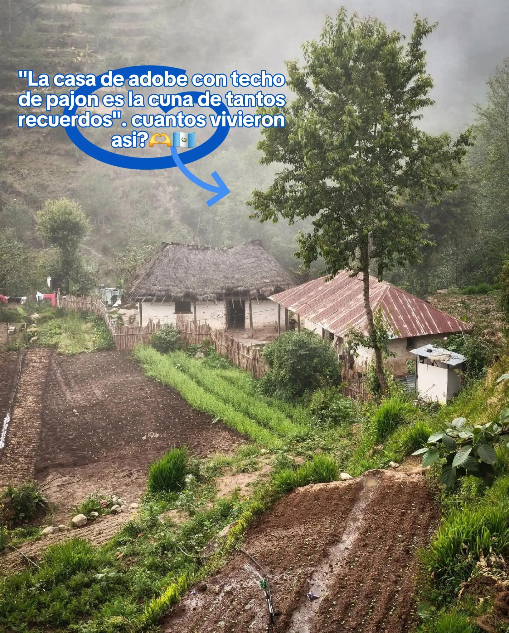 @Vásquez Maurilio.502