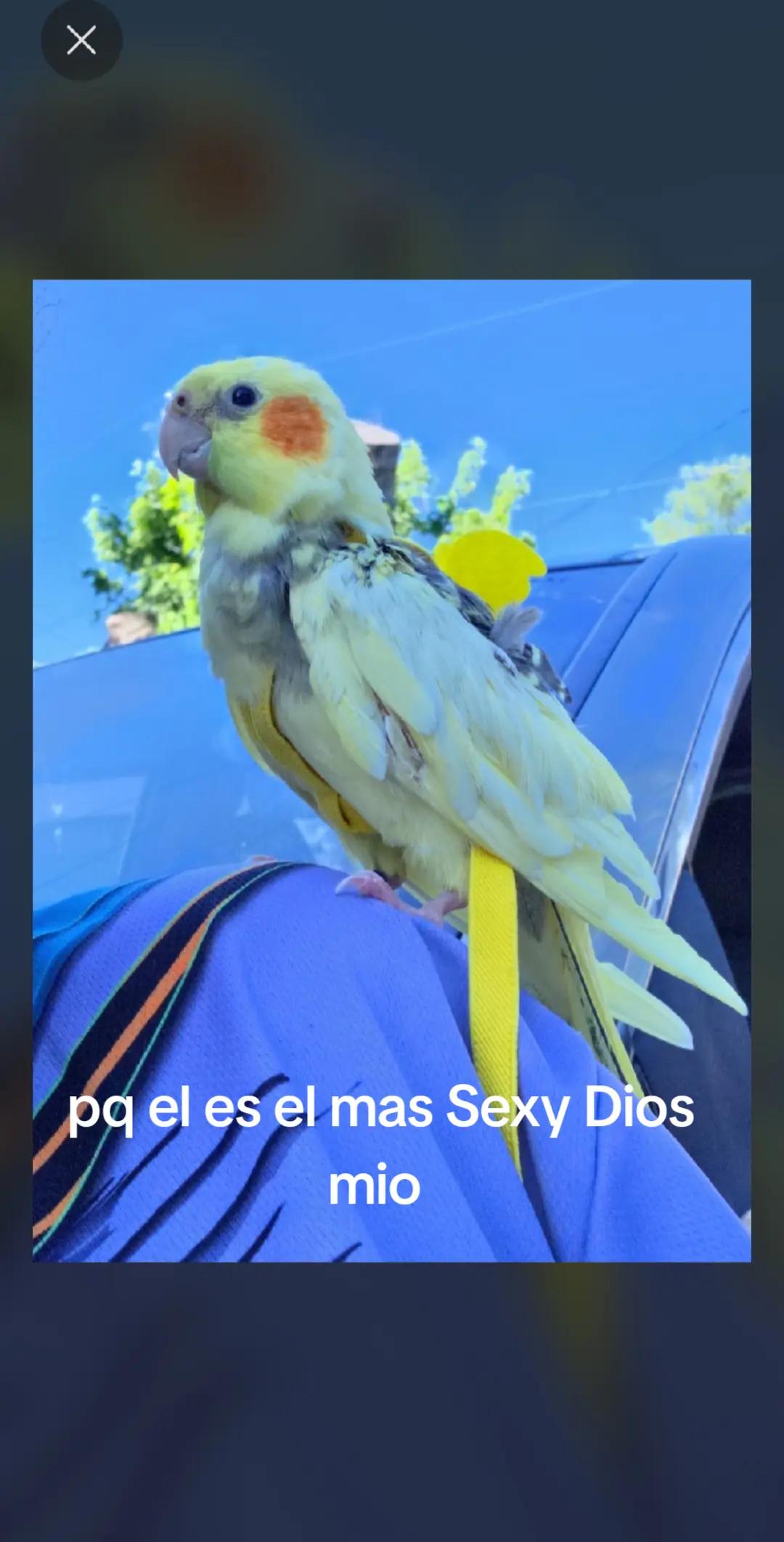 @🤍✝️🇵🇷Tammy🇵🇷✝️🤍