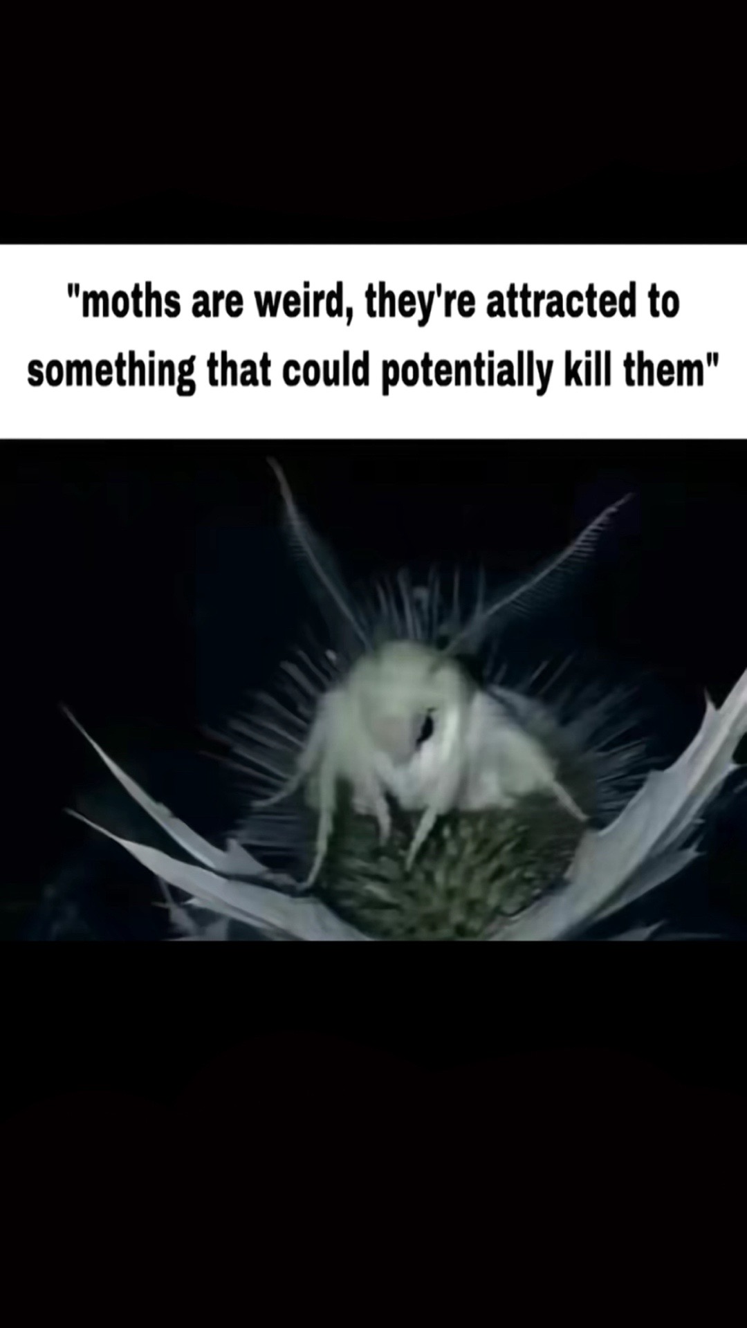 @♱ &real;𝔢𝔞𝔭𝔢𝔯_&real;1 ♱