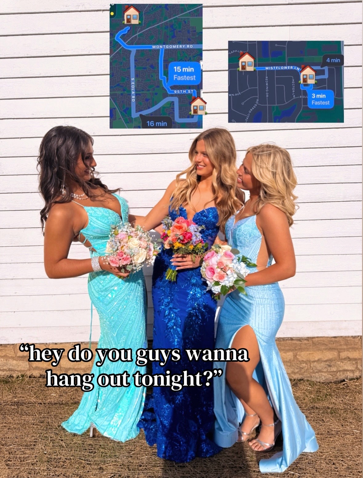 @hailee