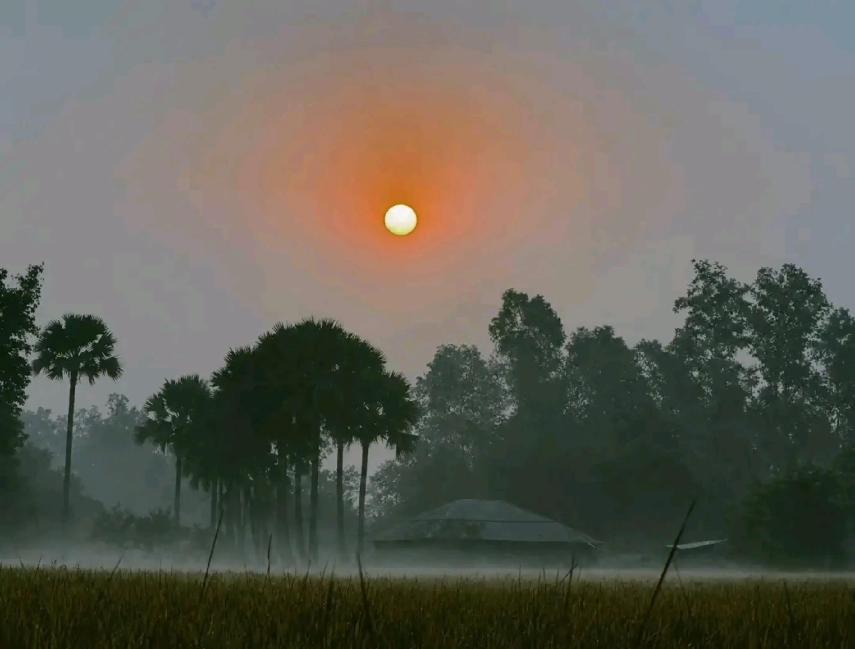 @RJ🔥অর্ণব চৌধুরী✅