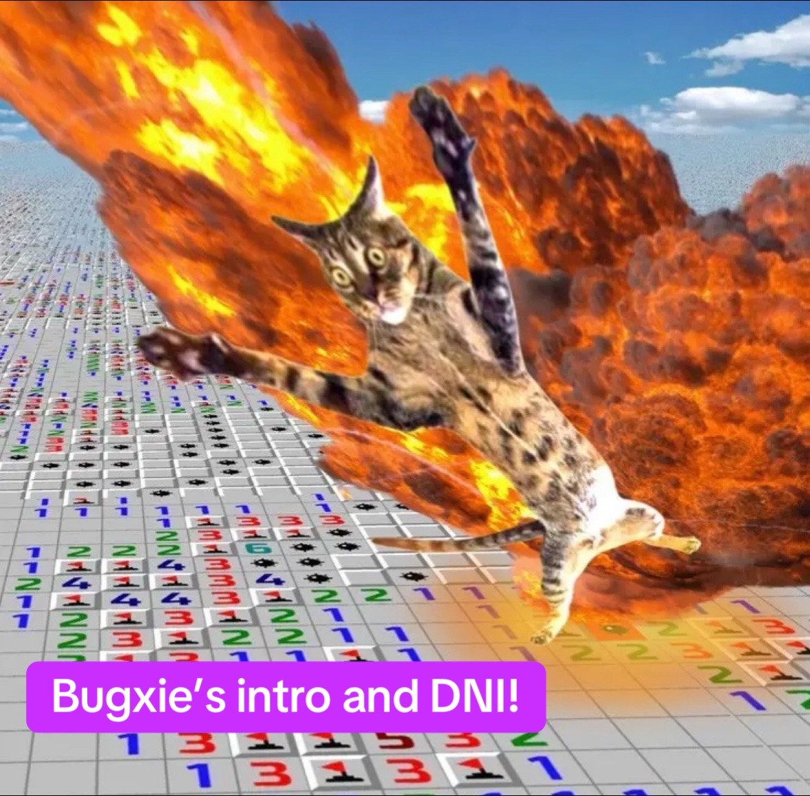 @Bugxie !!