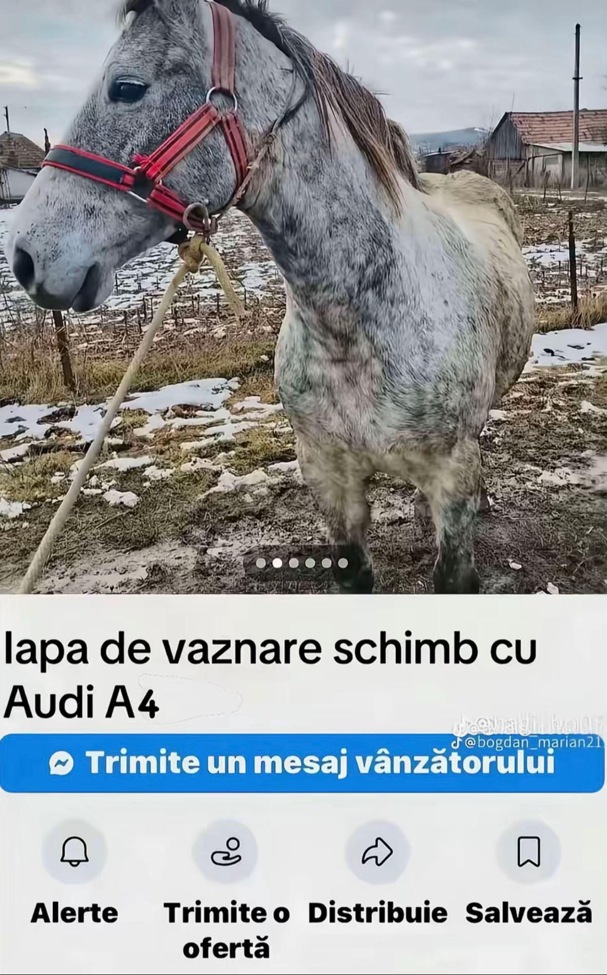 @vichon