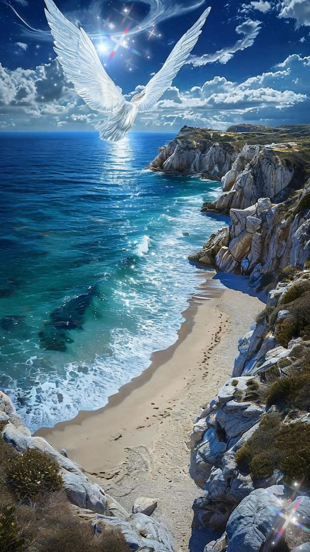 @Colori🎨di un anima🤍💙🪽🌸🌊