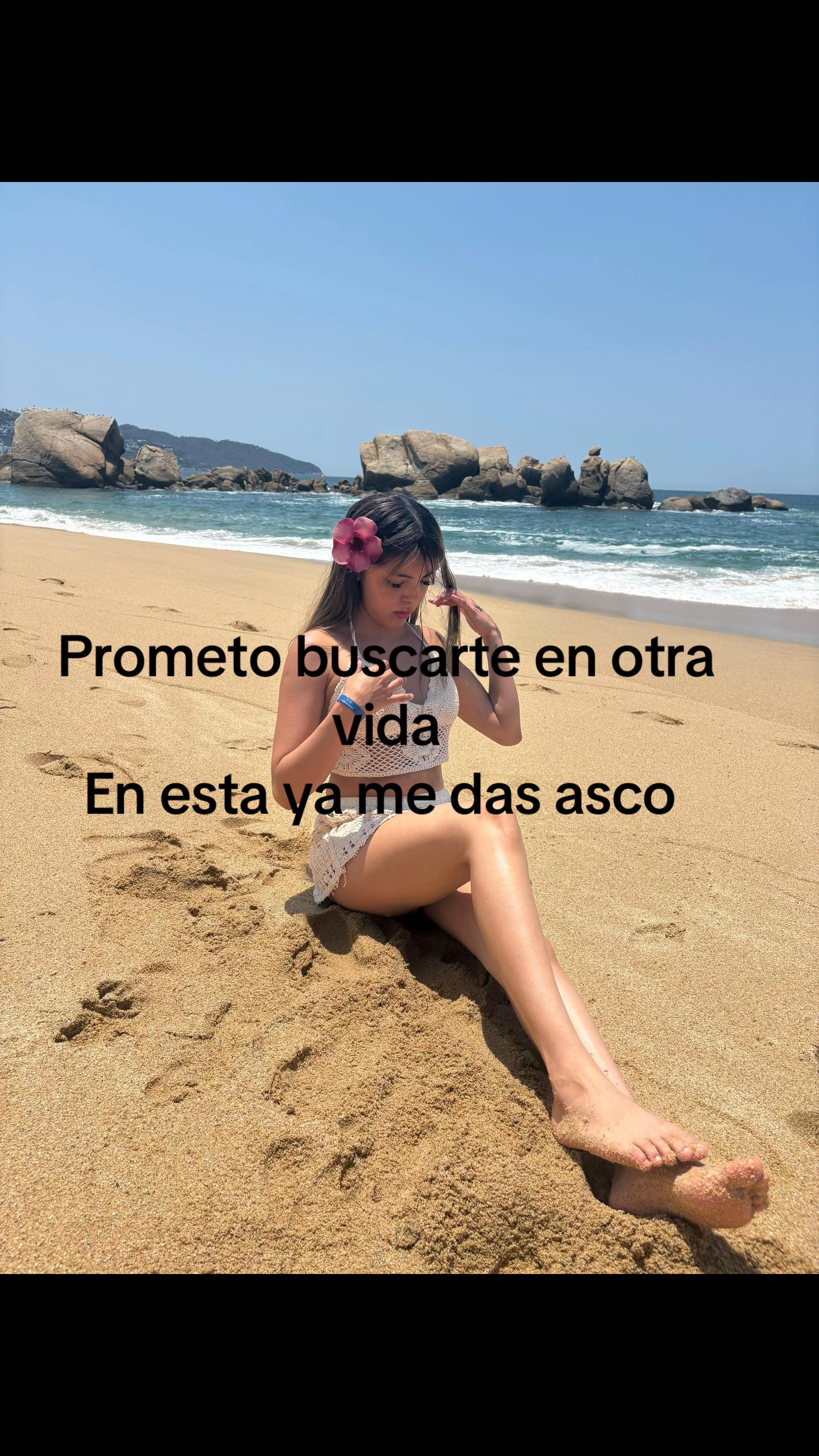 @montanabeib