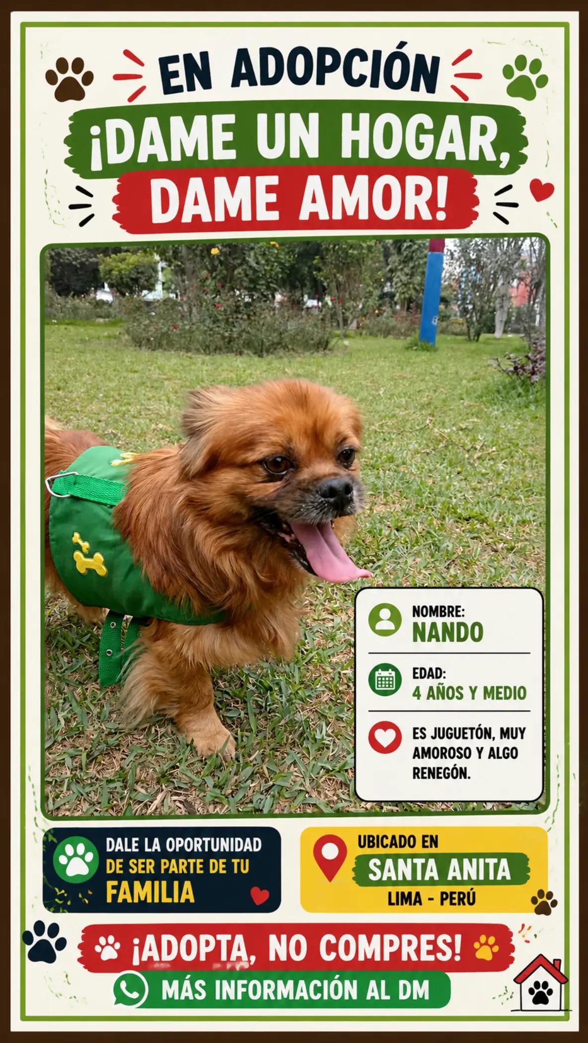 @Perritos Voladores